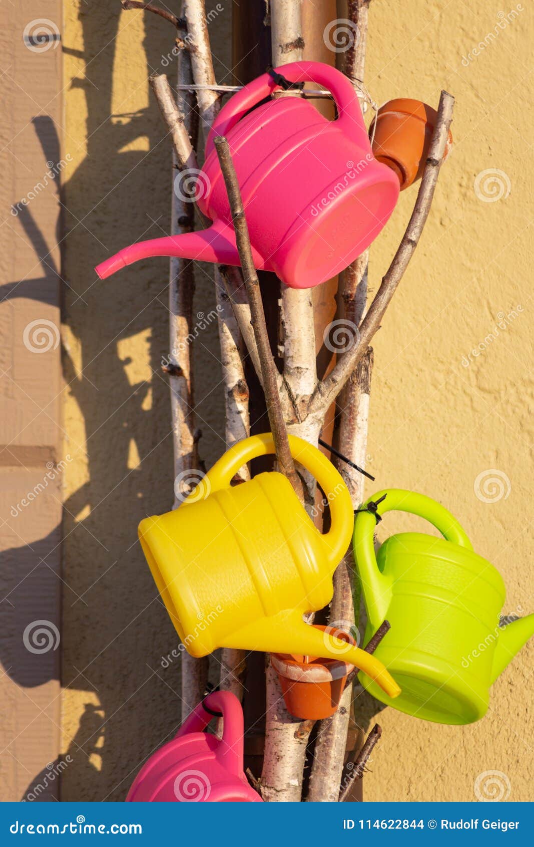 Colorful watering can stock photo. Image of nature, garden 114622844