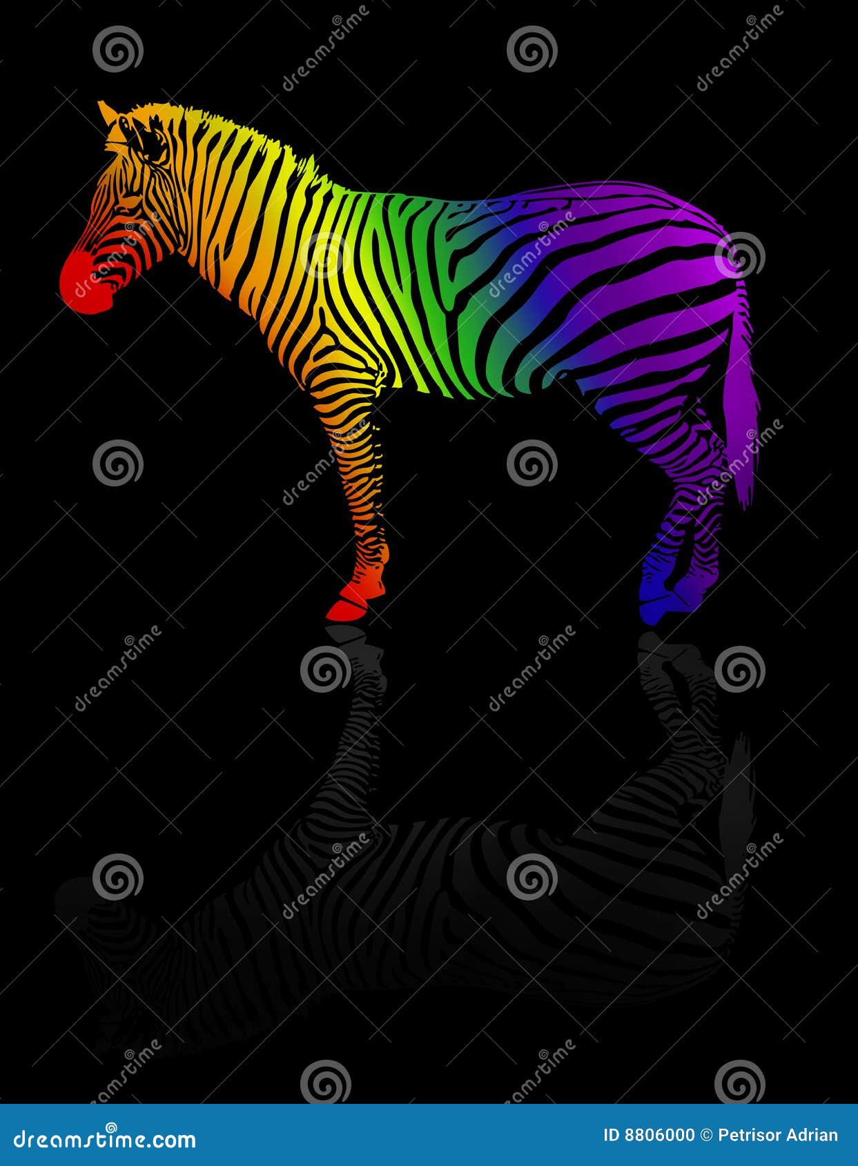 Colorful zebra stock illustration. Illustration of stripe 8806000