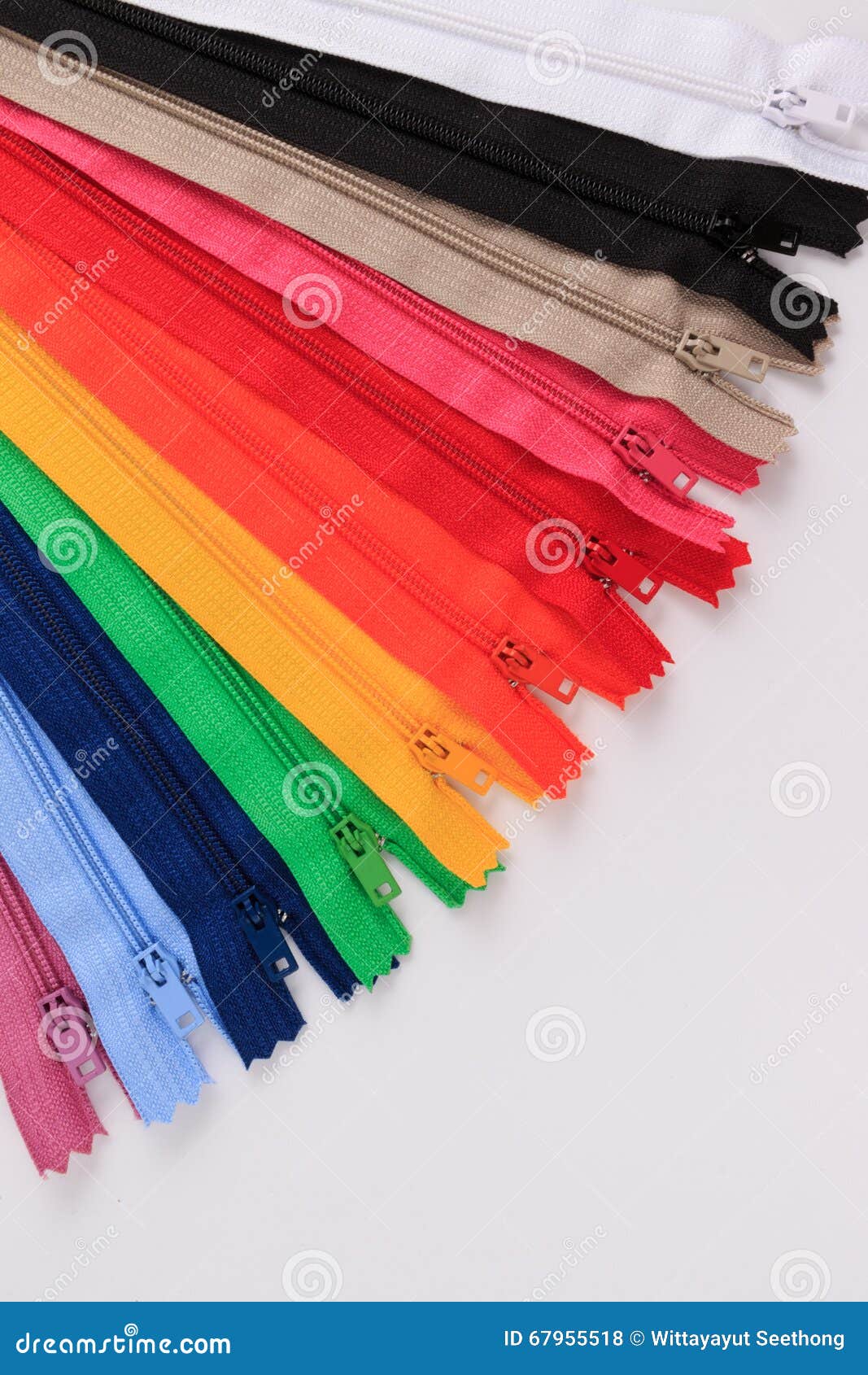 Colorful Zippers in Different Colors. Stock Photo - Image of pink ...