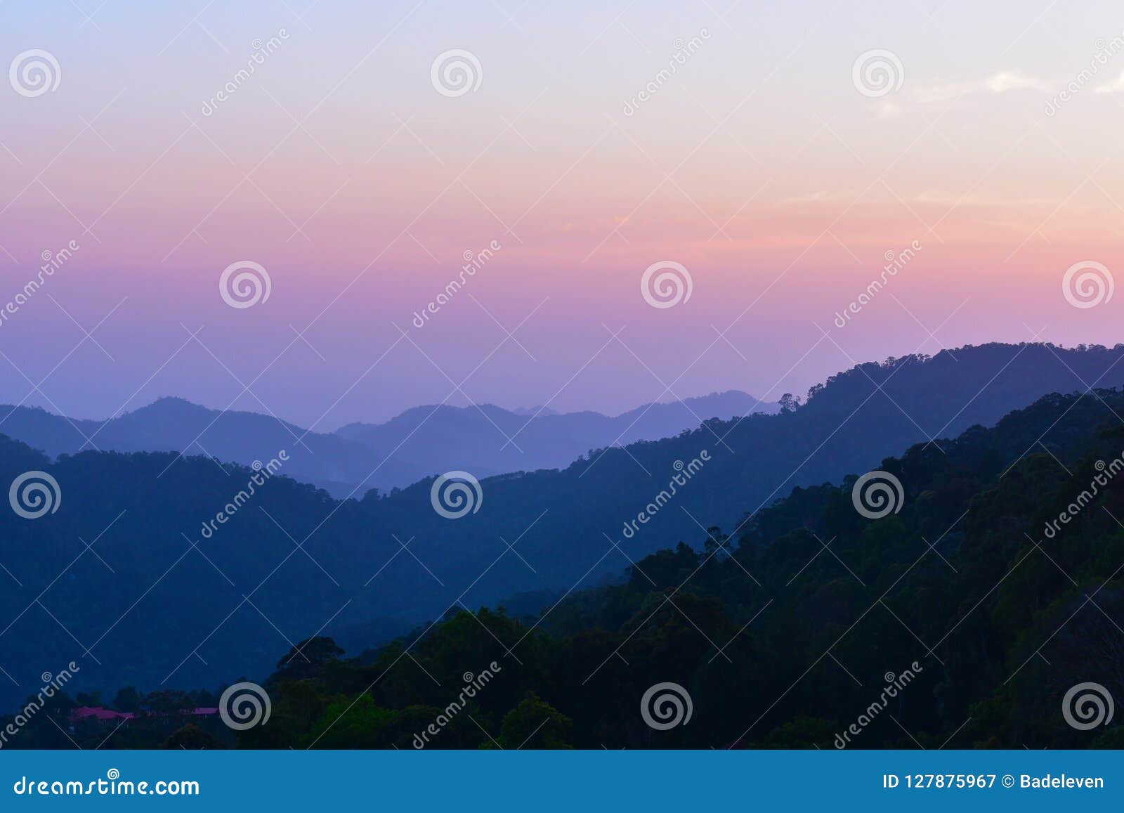 colorfull and natural mountain forest silhoutte