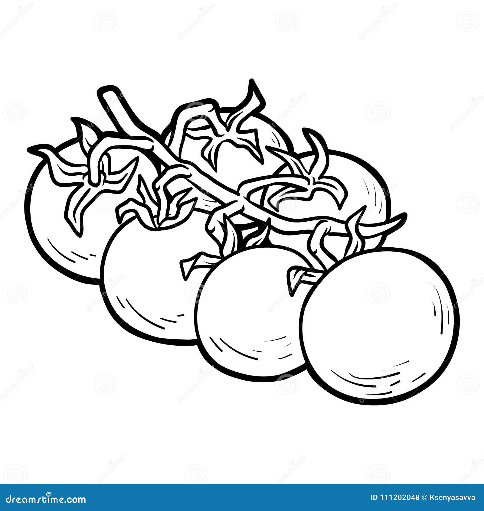 Coloring Book Cherry Tomatoes Stock Vector Illustration Of Outline Plant 111202048