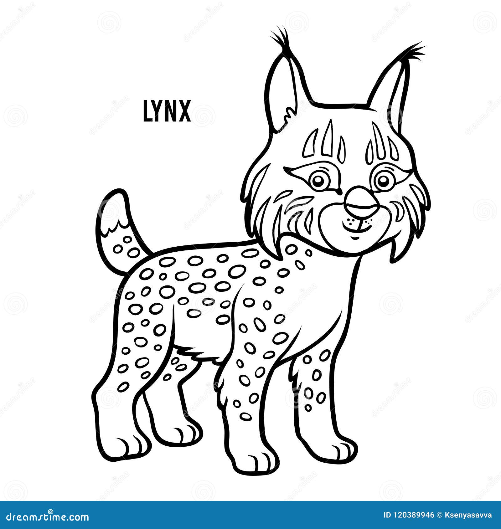 baby bobcat coloring pages