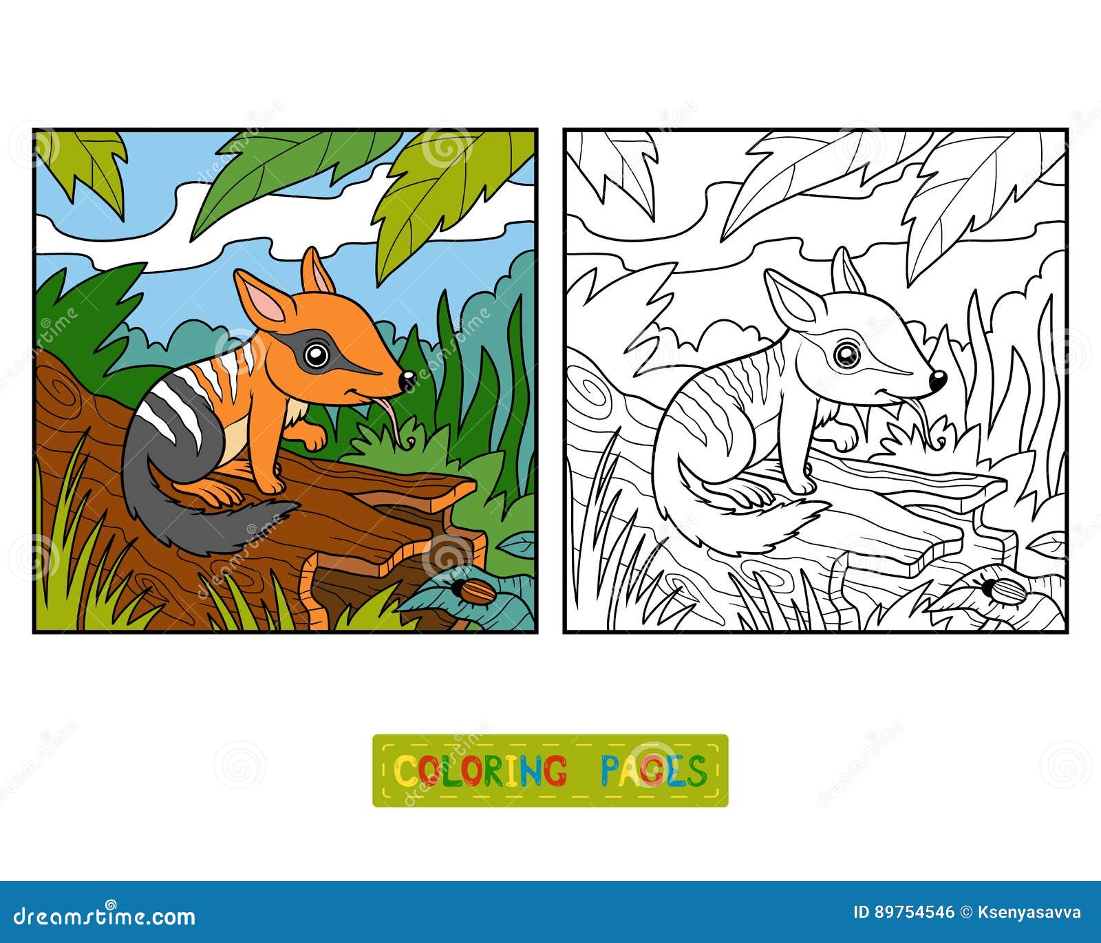 coloring book for children, numbat