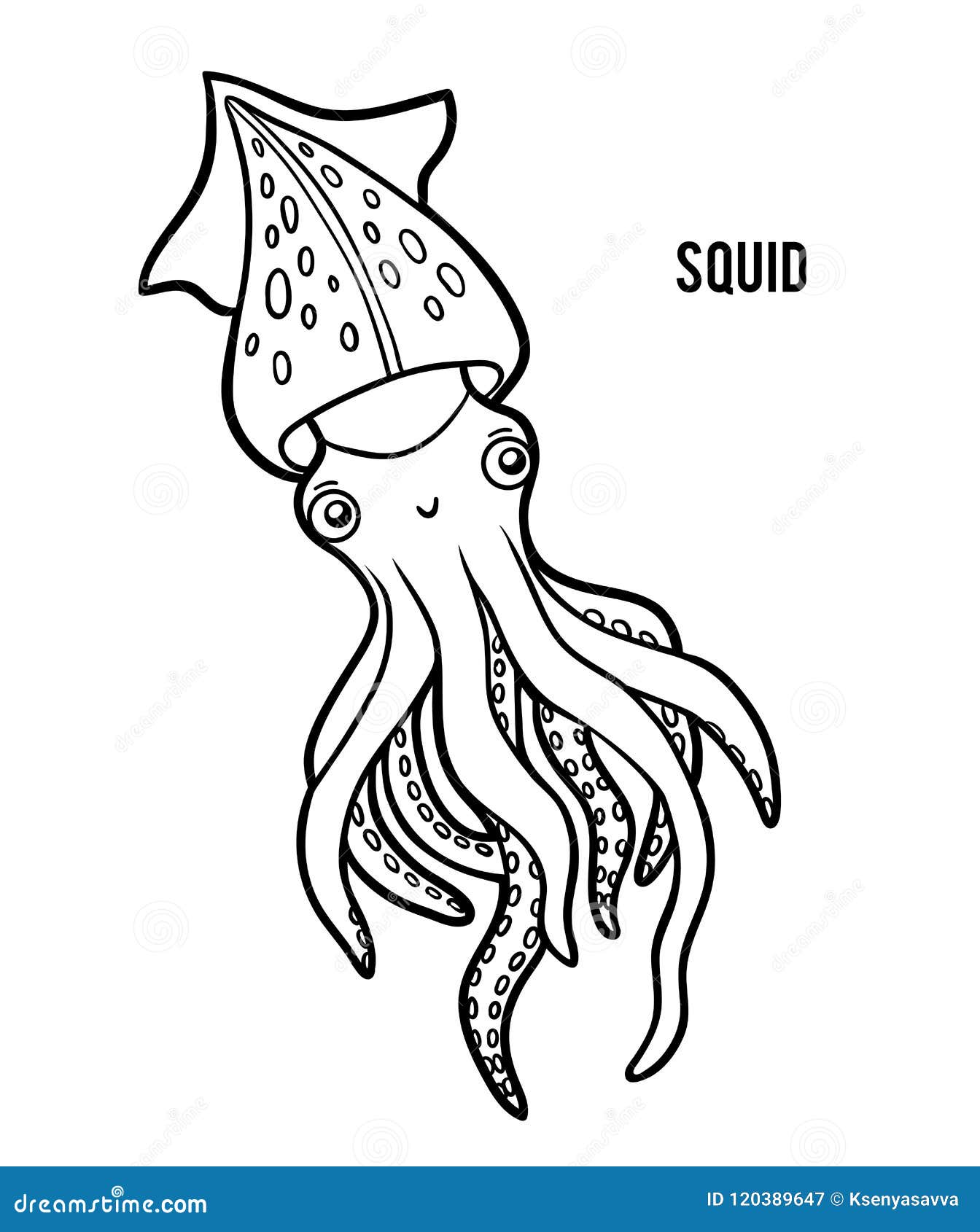 squid coloring pages