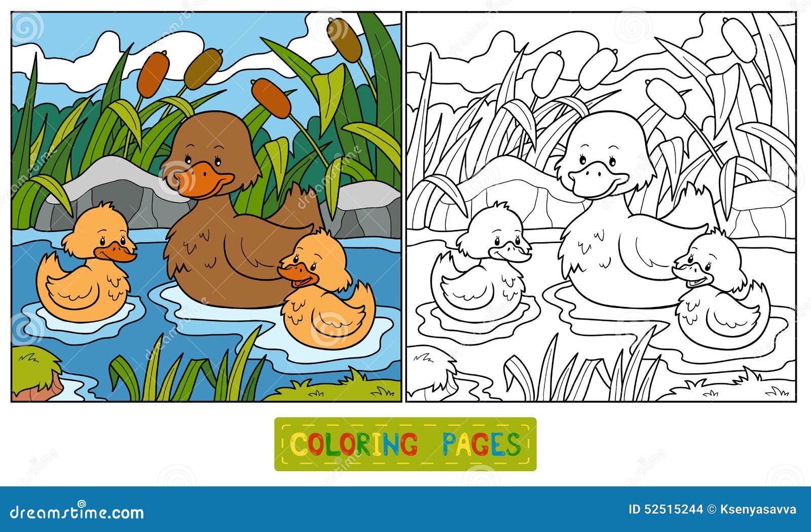 coloring book (duck)