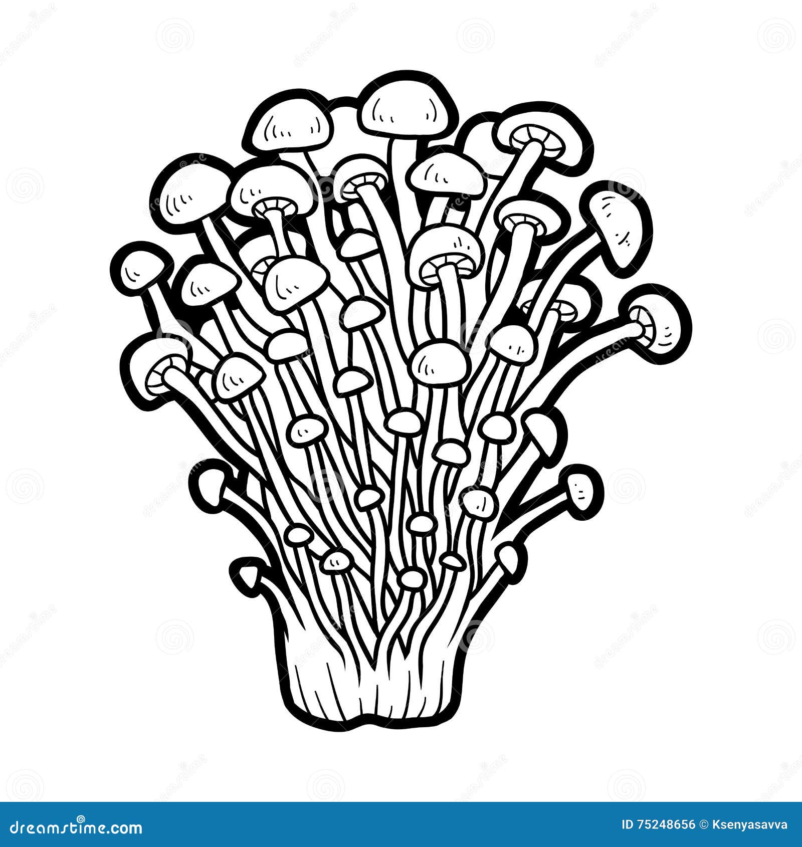 Coloring Book. Edible Mushrooms, Enoki Stock Vector - Illustration of ...