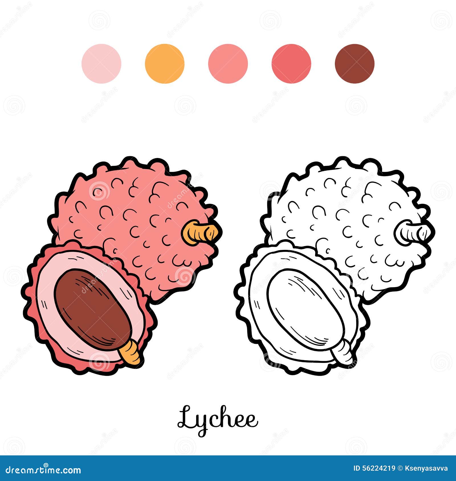 Download Coloring Book: Fruits And Vegetables (lychee) Stock Vector - Illustration of diet, pink: 56224219