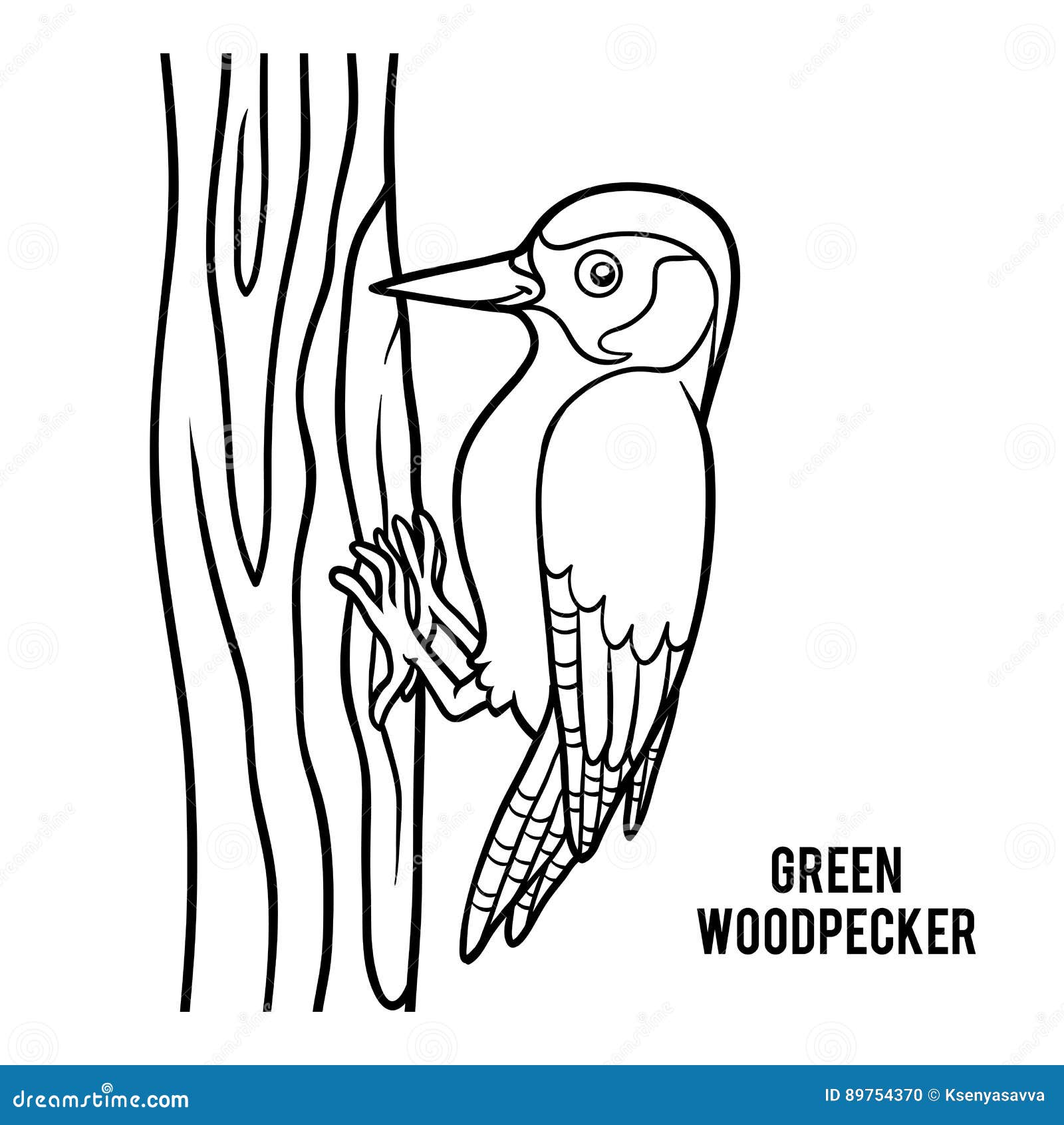 Coloring Book, Green Woodpecker Vector Illustration | CartoonDealer.com