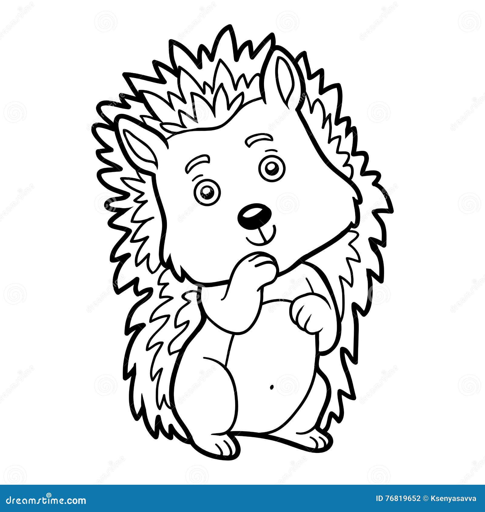 coloring book, hedgehog