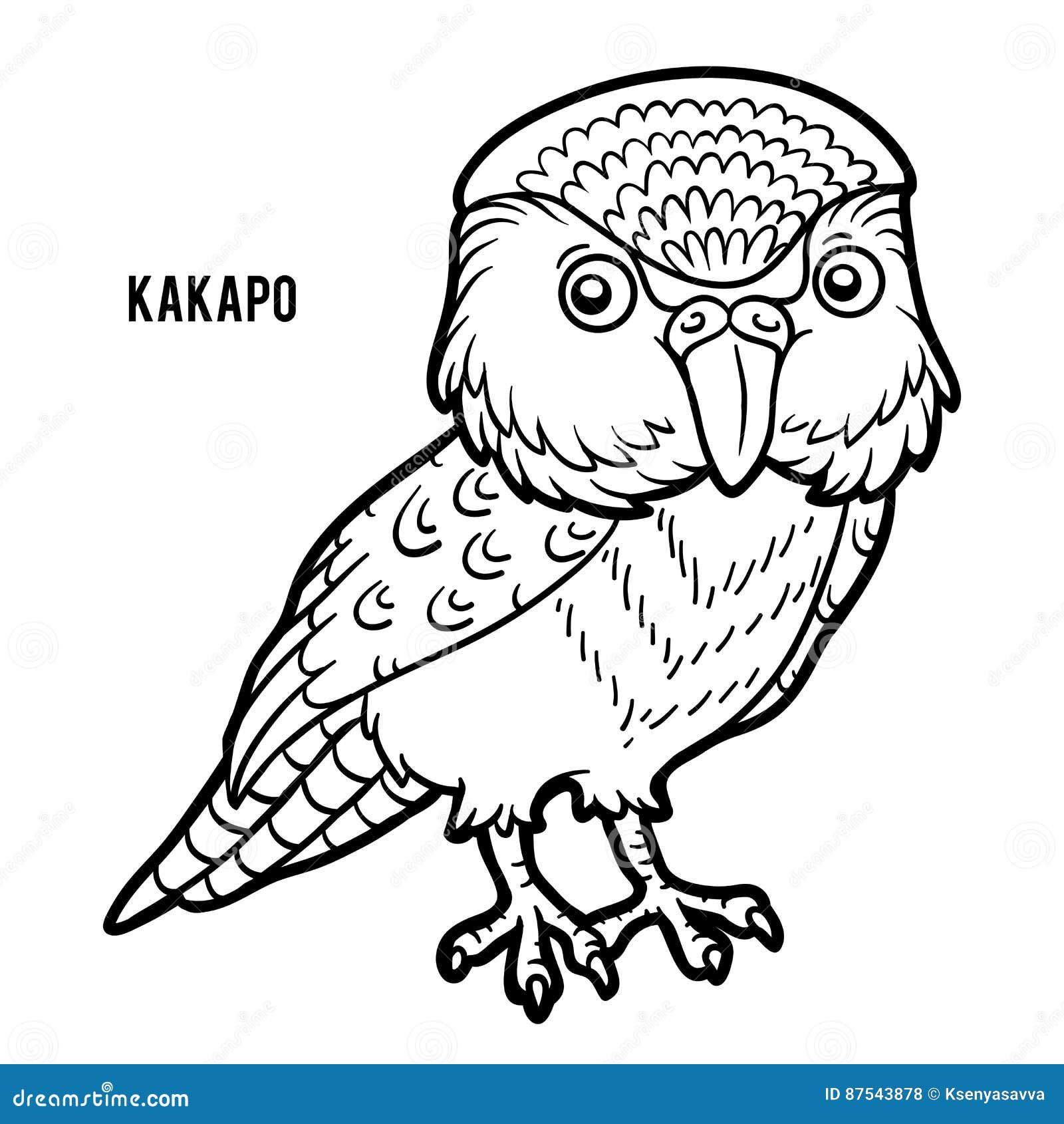 Coloring book, Kakapo stock vector. Illustration of bird - 87543878