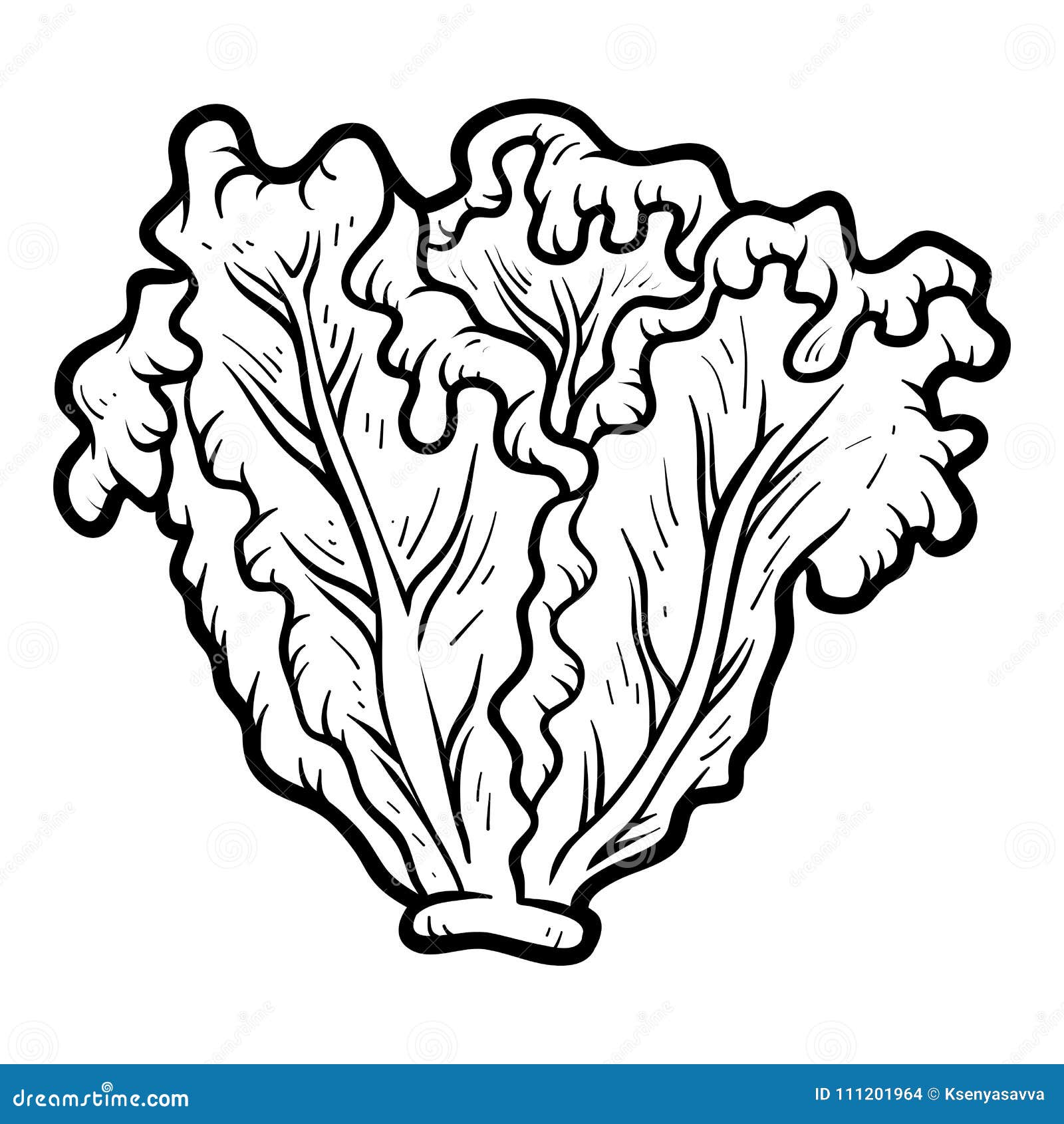 lettuce coloring page