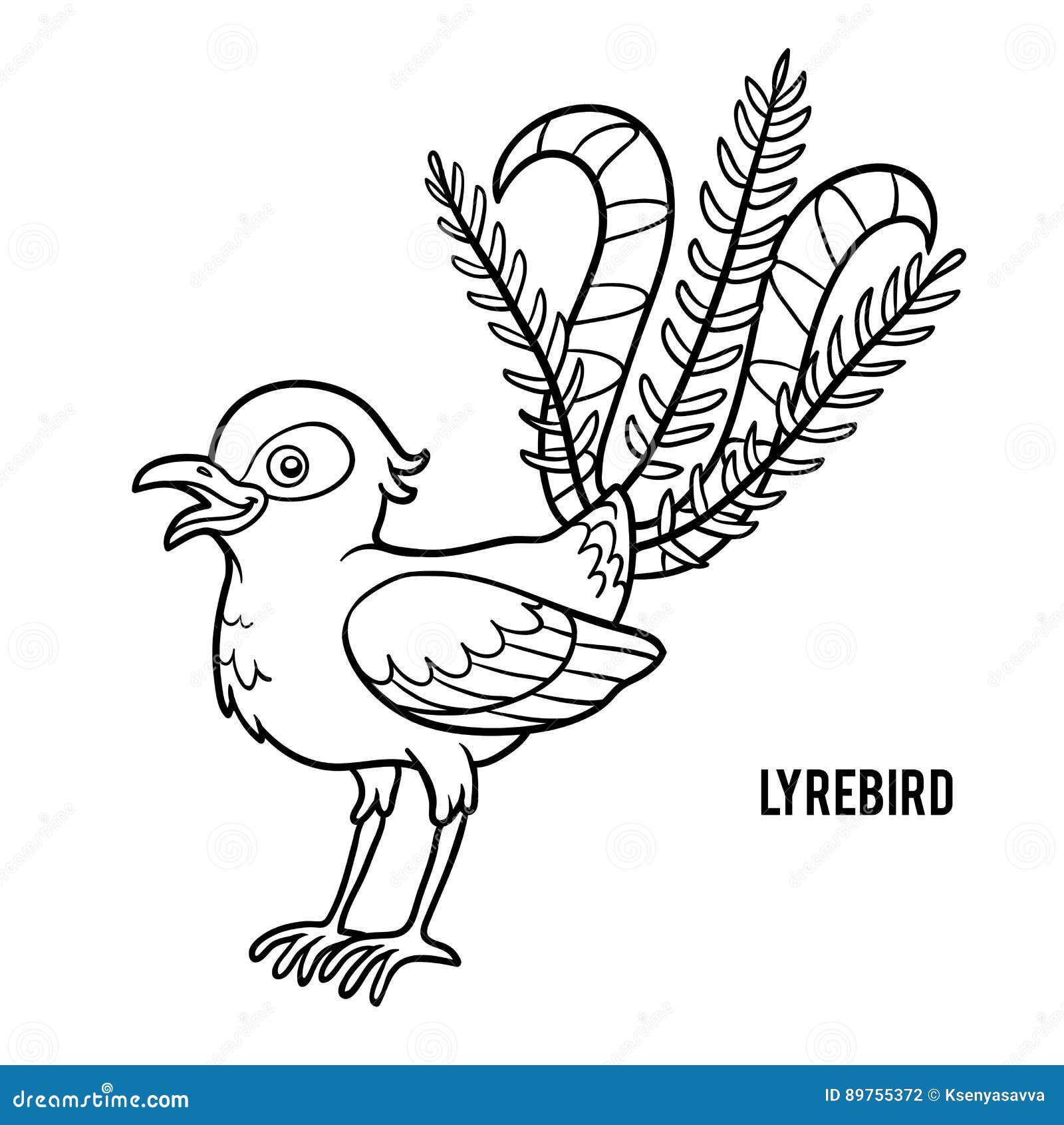 Download Coloring book, Lyrebird stock vector. Illustration of ...