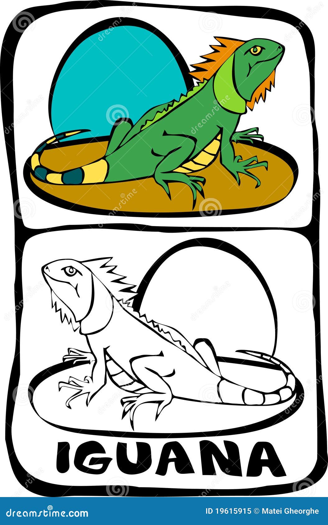 Download Coloring Book Page : Iguana Stock Illustration - Image ...