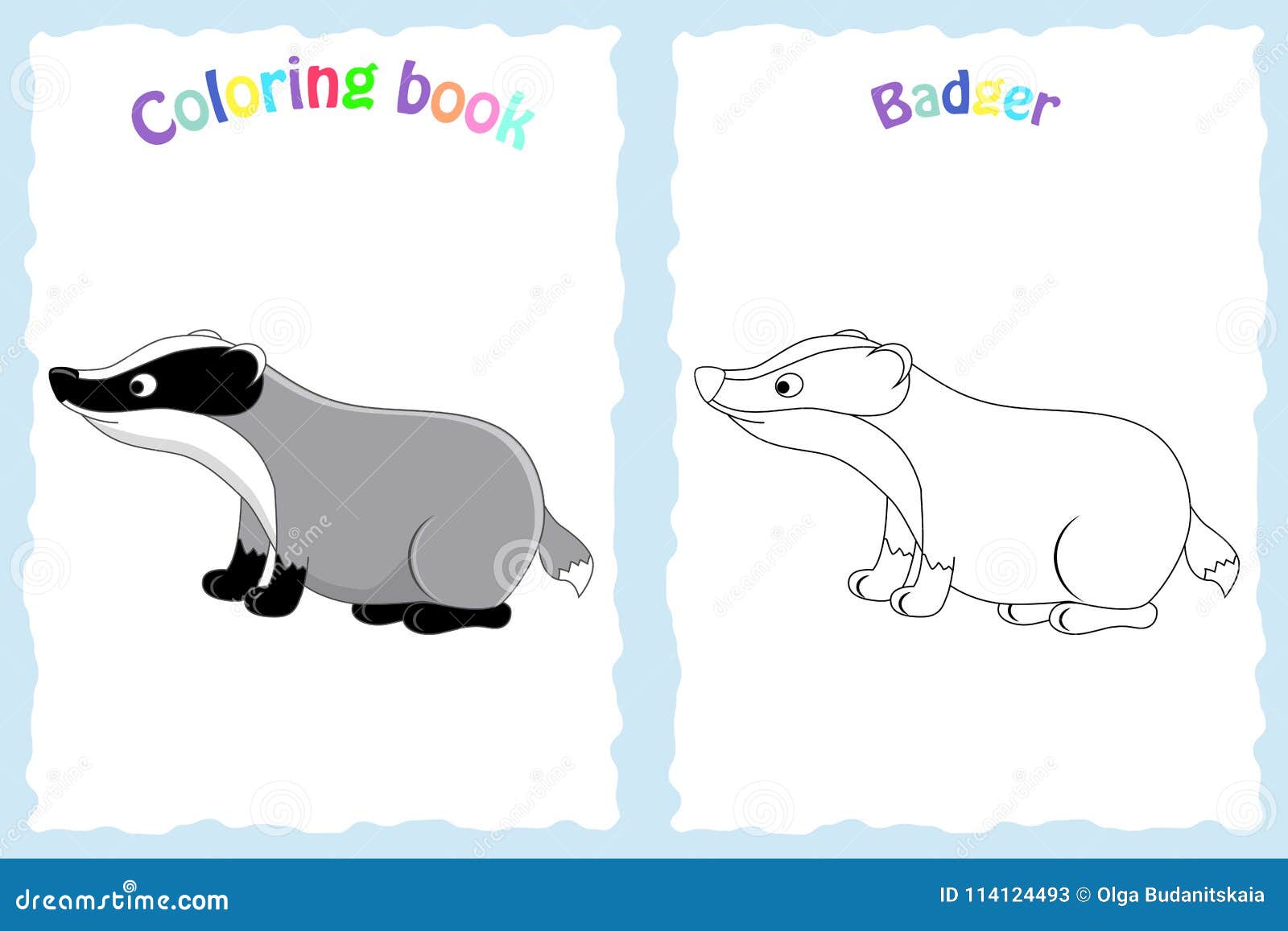 Coloring Book Page for Preschool Children with Colorful Badger a ...