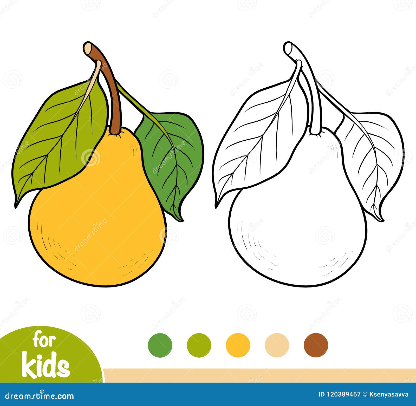 Coloring Book, Pear Tree Branch Stock Vector - Illustration of color
