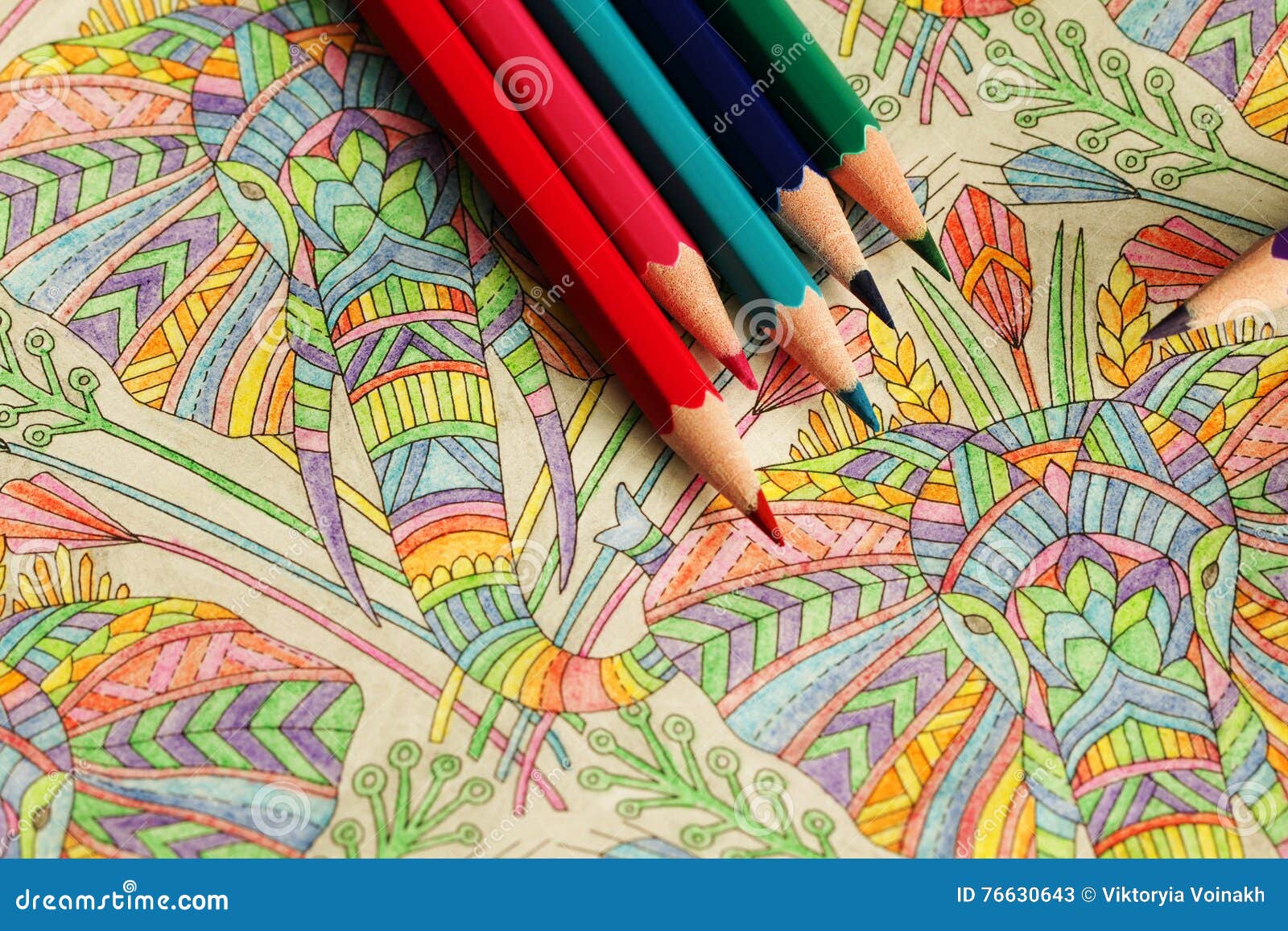 Adult Coloring Book with Pencils