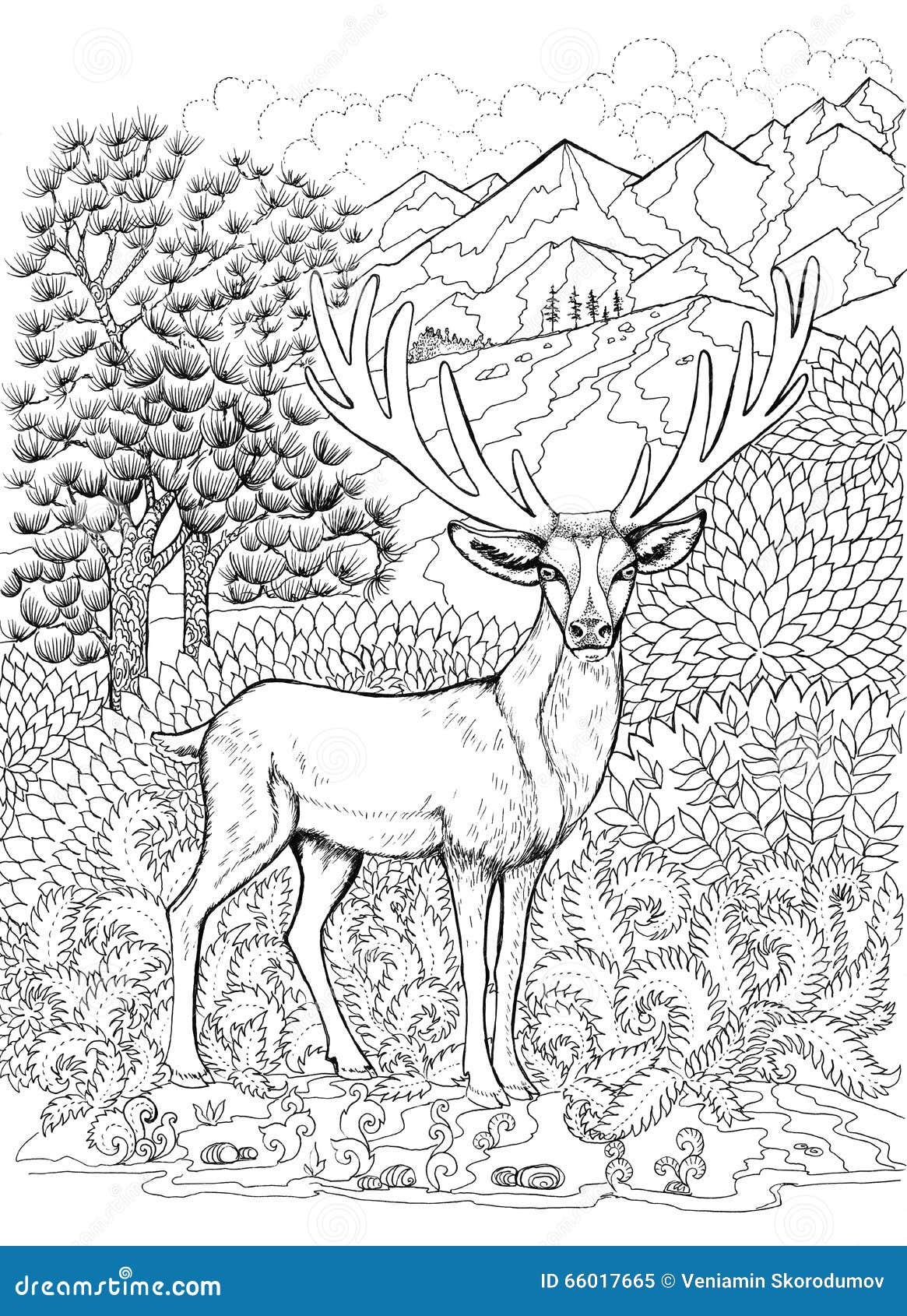 Deer Antlers Coloring Pages