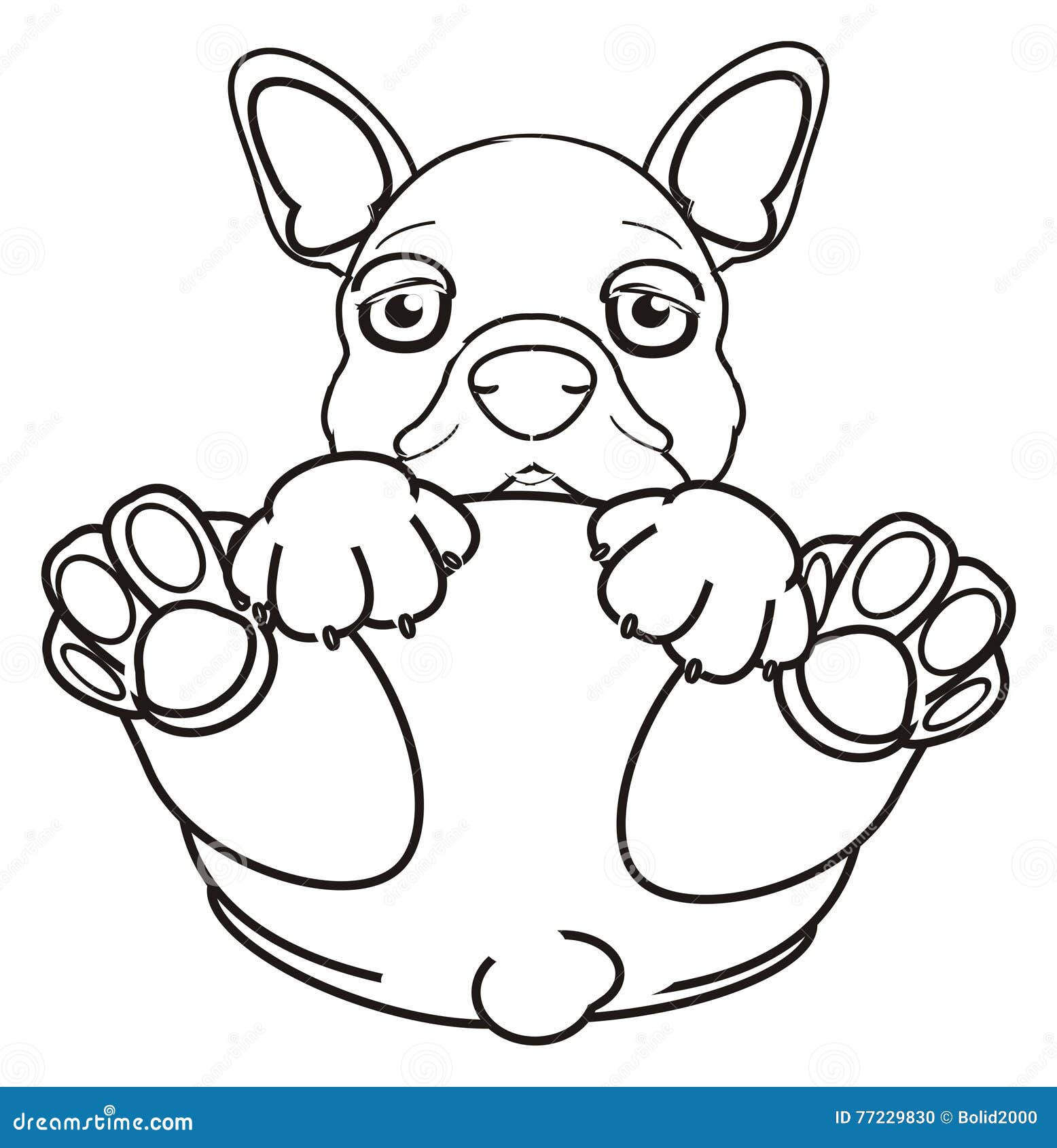 Coloring french bulldog stock illustration. Illustration of bulldog