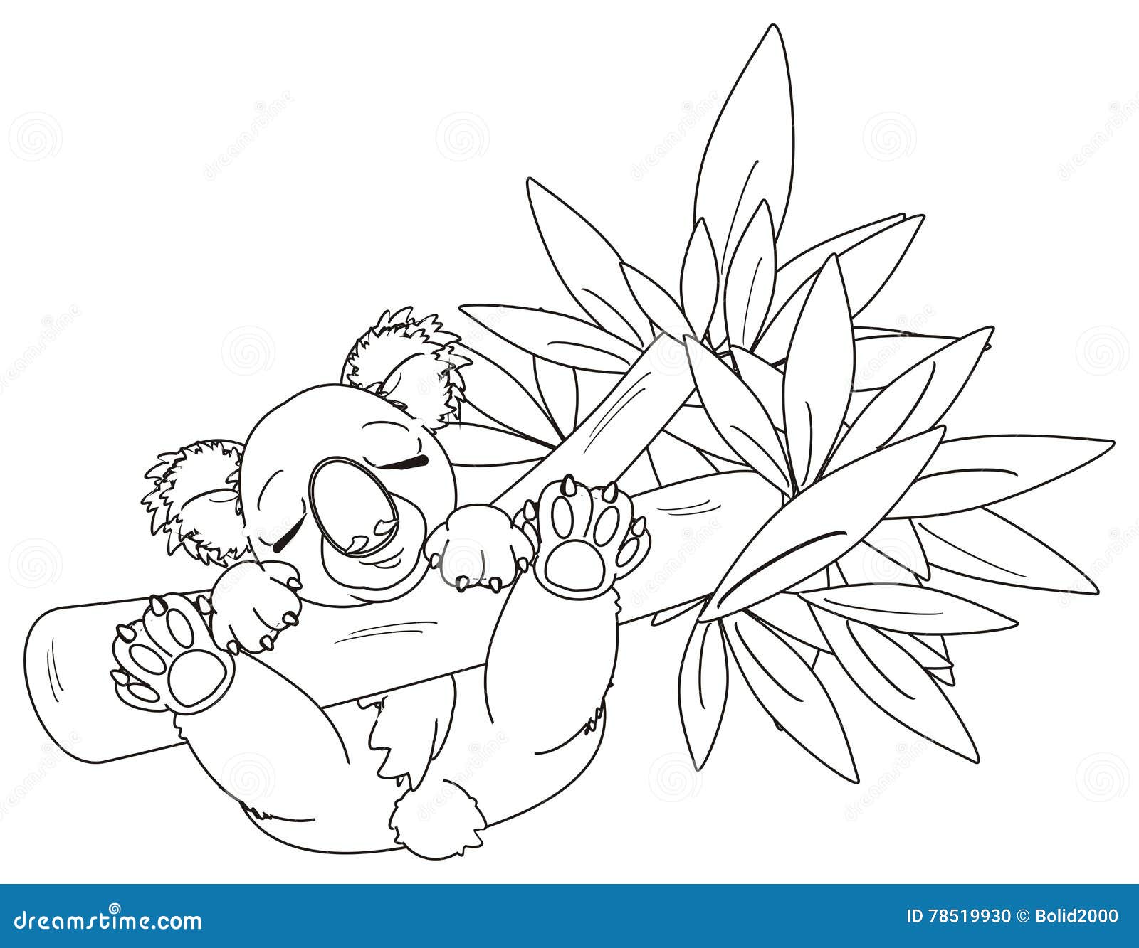 Coloring Koala Sleeping on the Tree Stock Illustration - Illustration