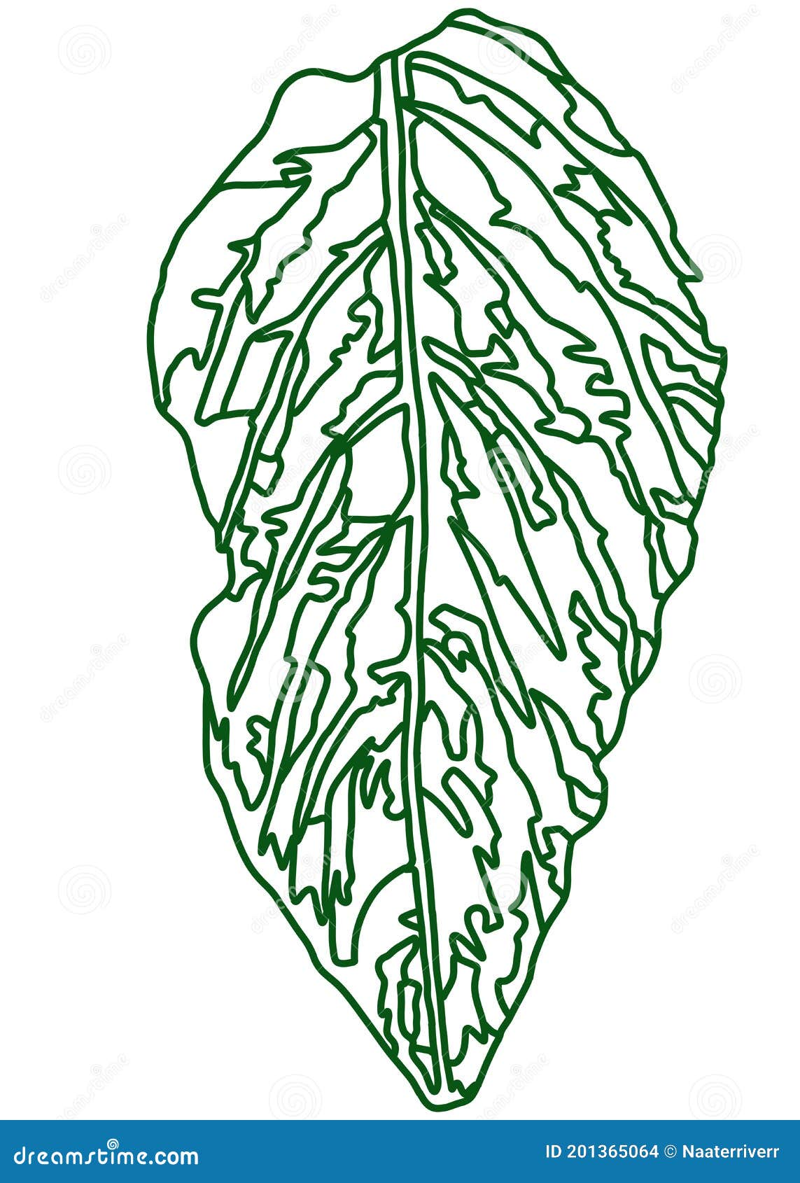 Coloring Leaf with Green Lines on White Background Stock Illustration ...