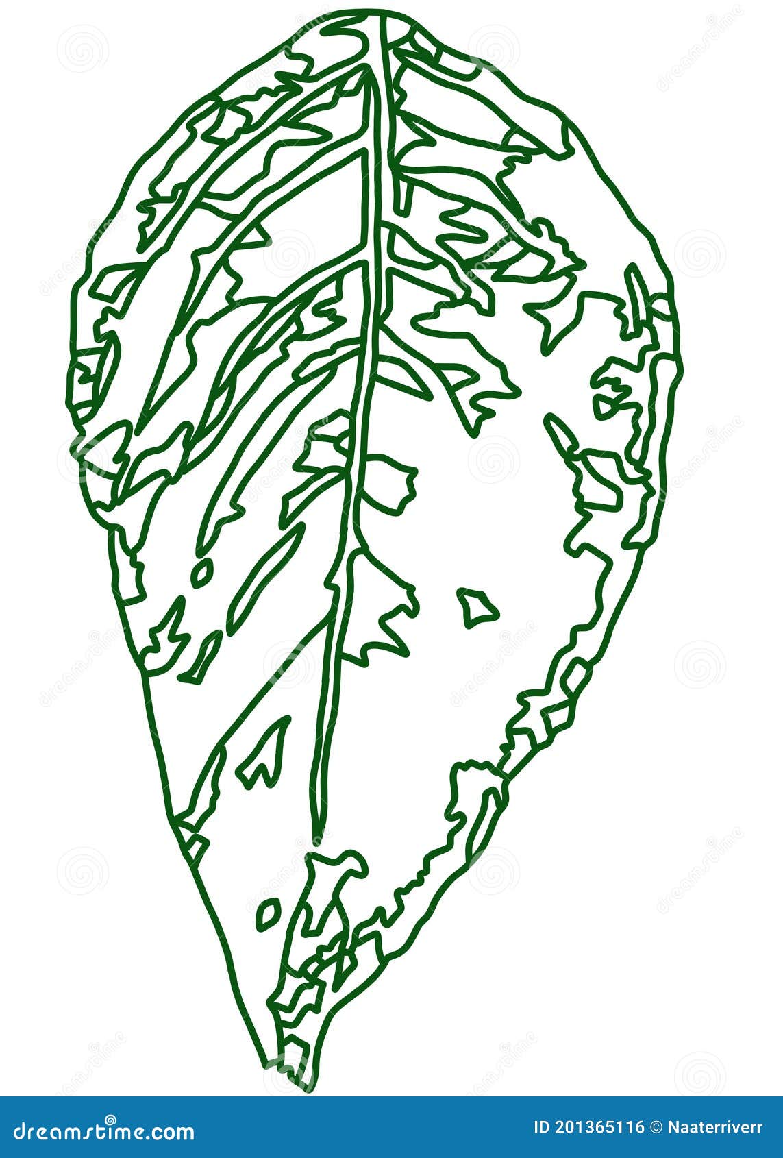 Coloring Leaf with Green Lines on White Background Stock Illustration ...