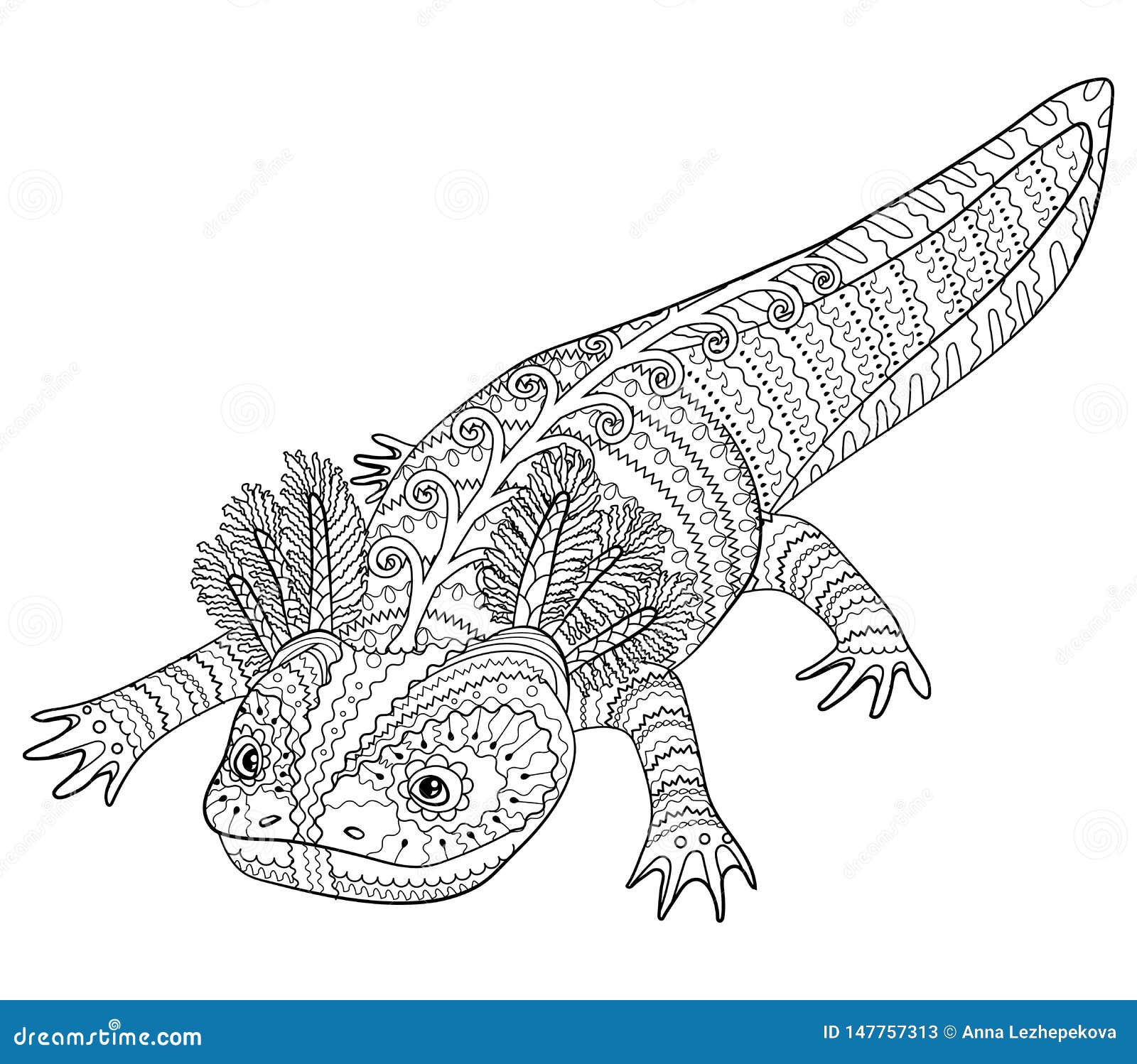 Coloring Page With Axolotl In Patterned Style Stock Vector Illustration Of Drawing Design Coloring Page With Axolotl In Patterned Style Stock Vector Illustration Of Drawing Design