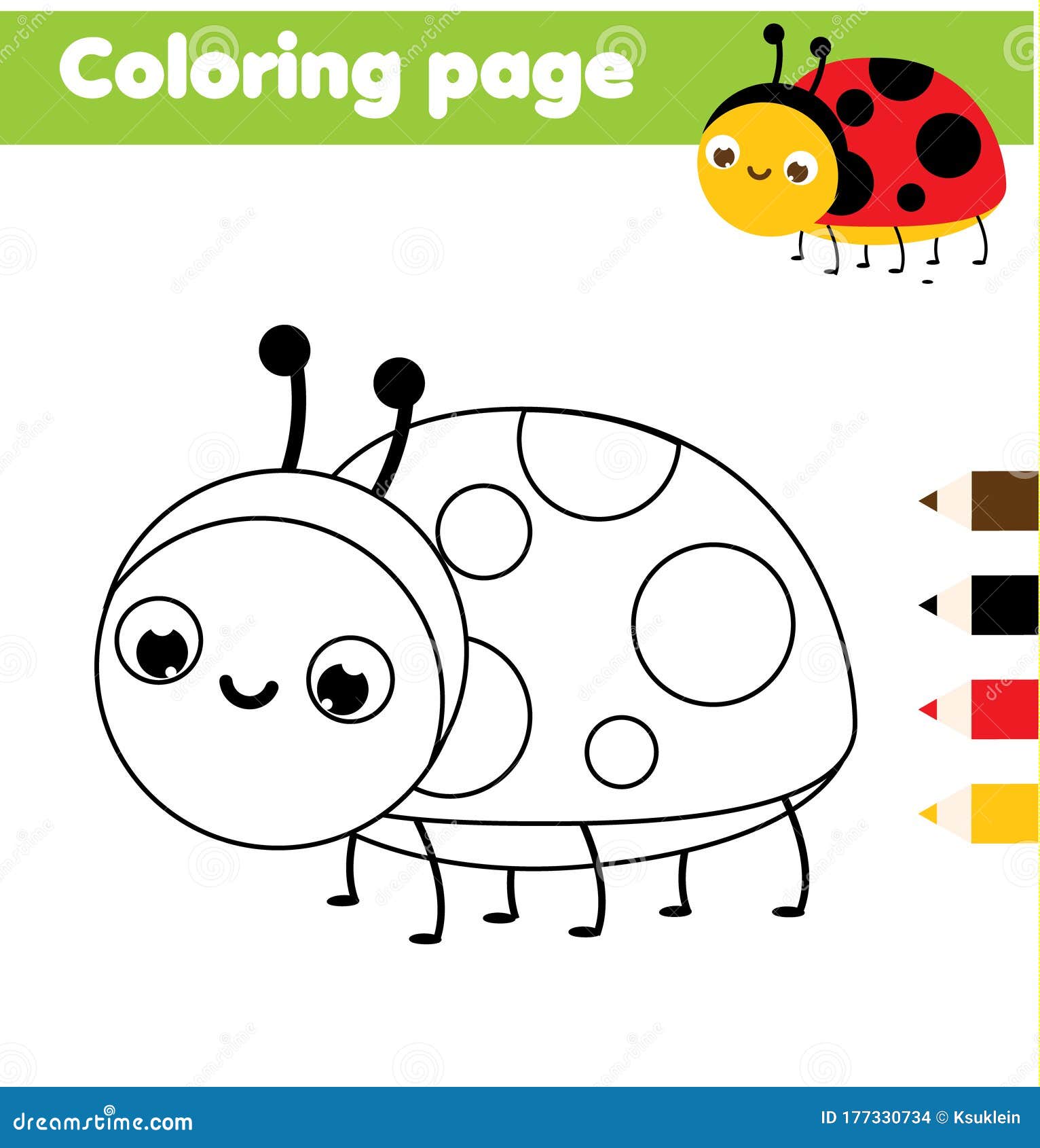 How to Draw a Ladybug | Bugs drawing, Ladybug art, Easy drawings