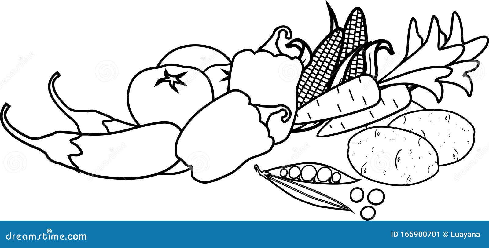 Download Coloring Page. Composition Of Different Vegetables Stock Vector - Illustration of ingredient ...