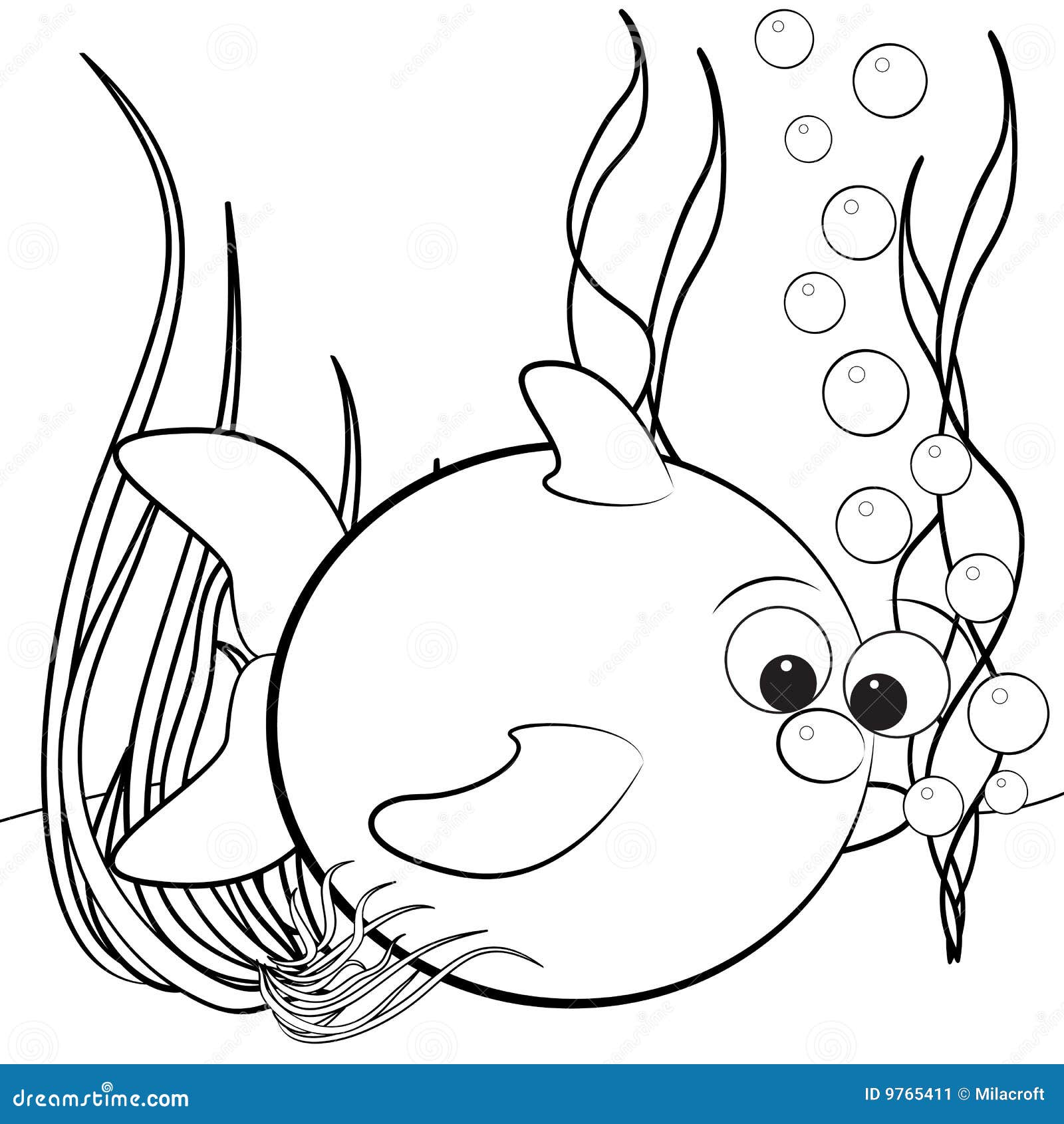 My Image 11