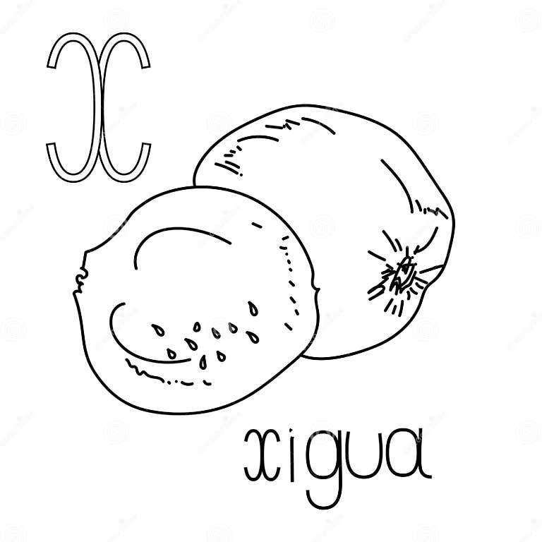 Coloring Page Fruit and Vegetable ABC, Letter X - Xigua, Educated ...