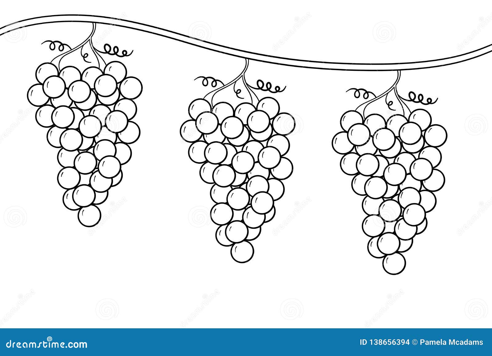 Схема роста виноград вектор