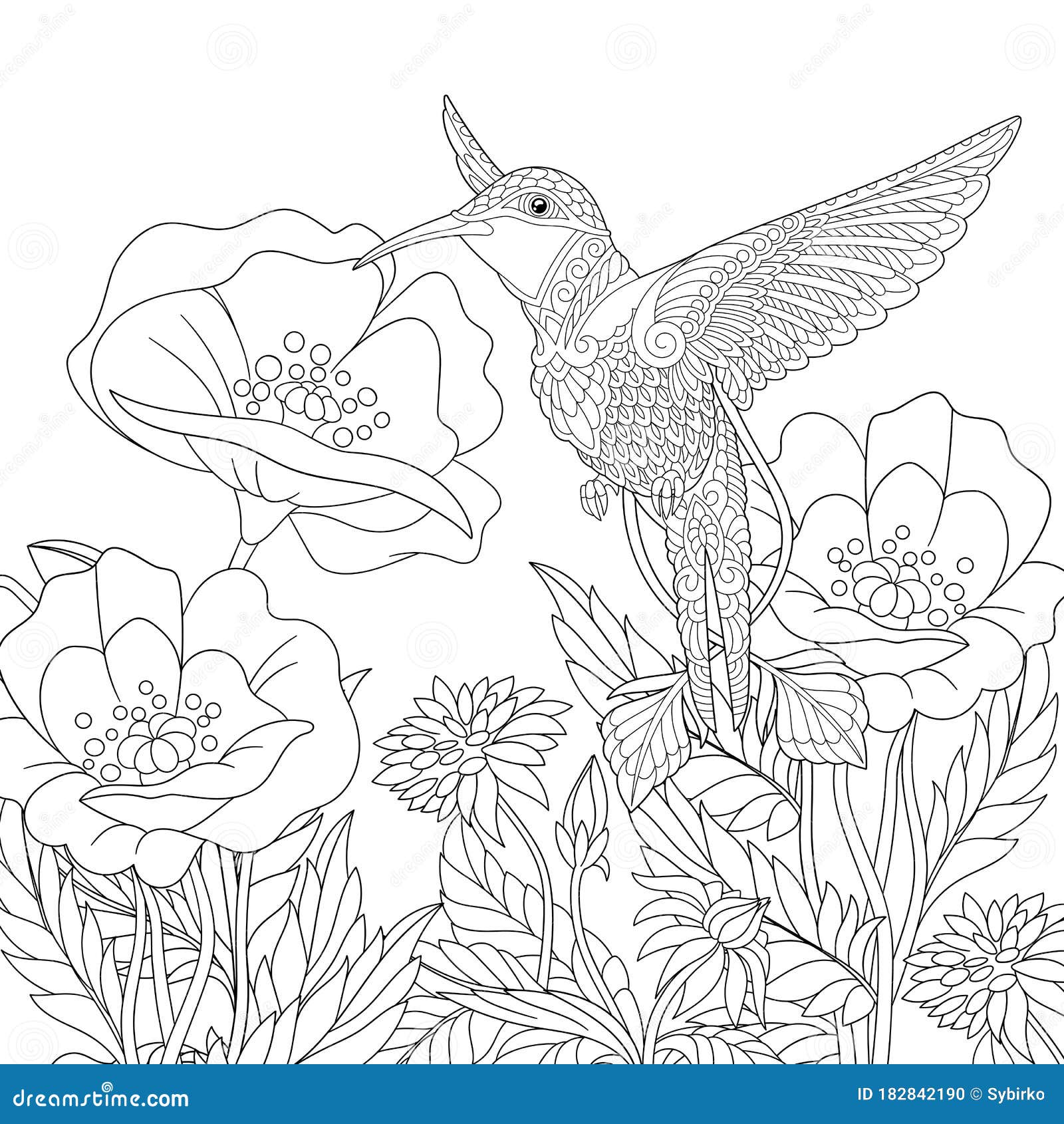 Coloring Page with Hummingbird and Poppy Flowers Stock Vector ...
