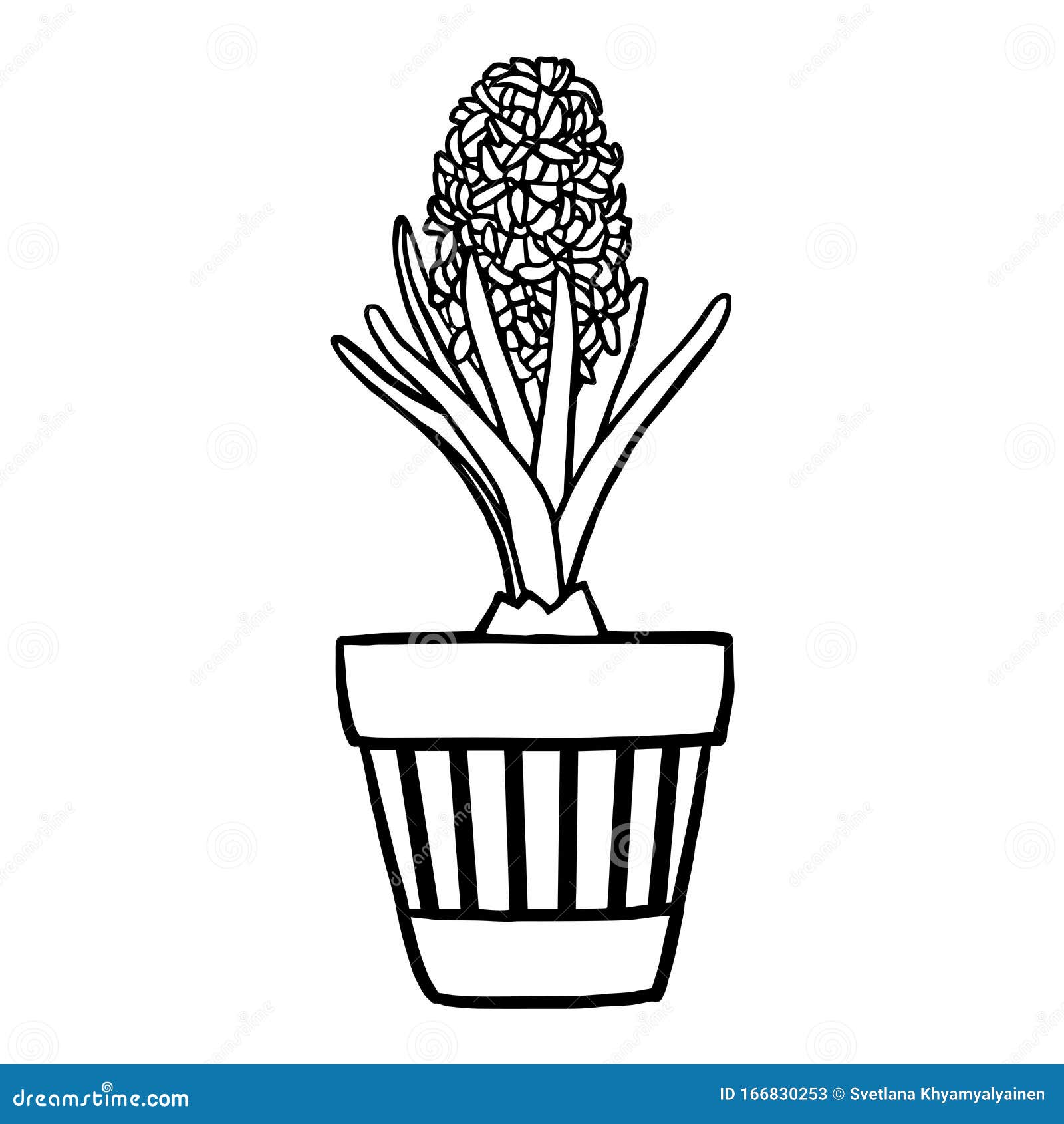 Coloring Page. Hyacinth in a Pot. Stock Illustration ...