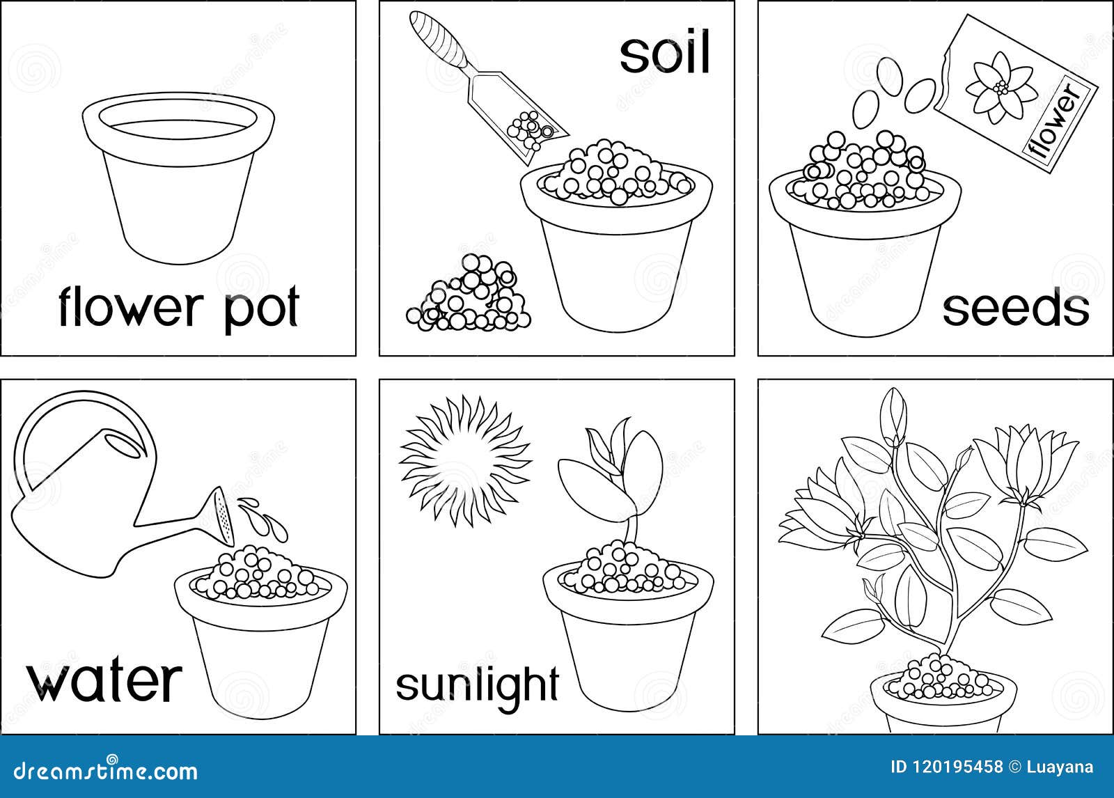 Coloring Page. Instructions on How To Plant Flower in Six Easy ...