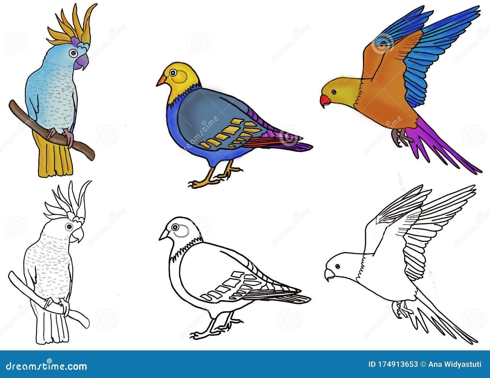 Coloring Page For Kids Of Parrot Pigeon Macaw Bird Stock Illustration Illustration Of Macaw Bird 174913653