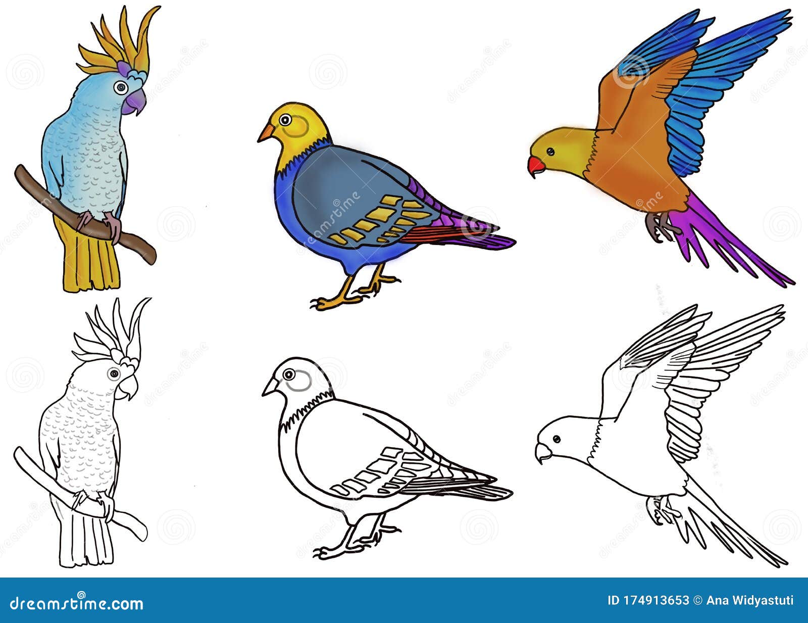 blue and yellow macaw coloring page