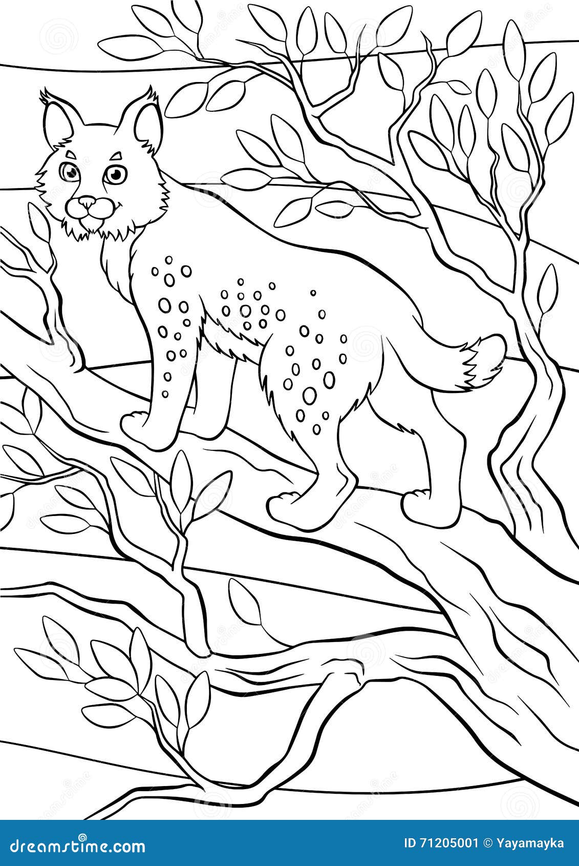 Coloring Pages. Animals. Little Cute Lynx. Stock Vector ...