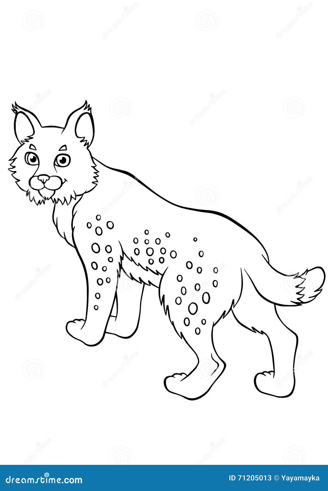 bobcat coloring page