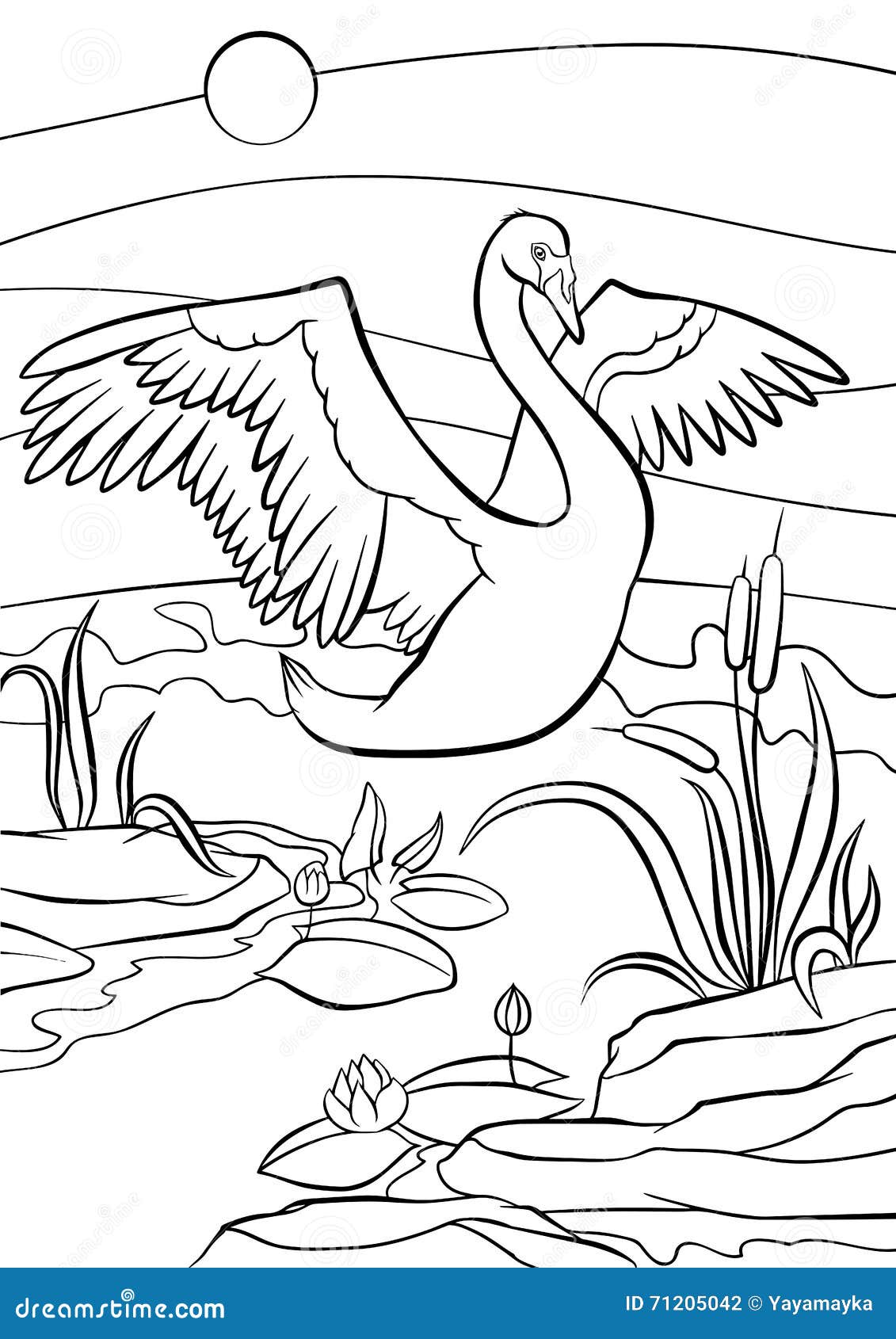 coloring pages. birds. cute beautiful swan.