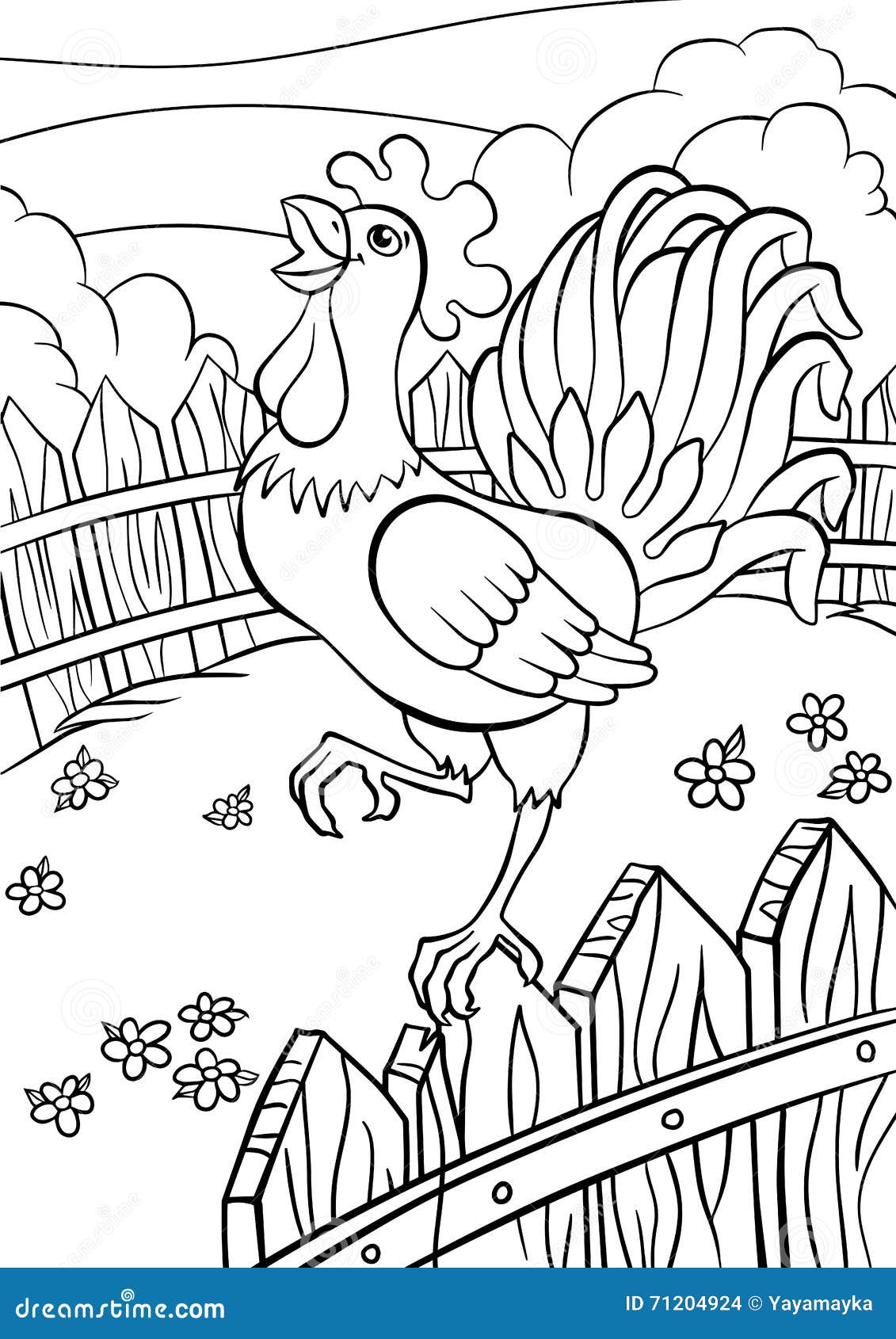 coloring pages. birds. cute rooster.
