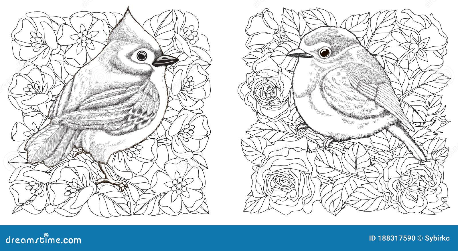 Coloring Pages with Birds and Flowers Stock Vector   Illustration ...