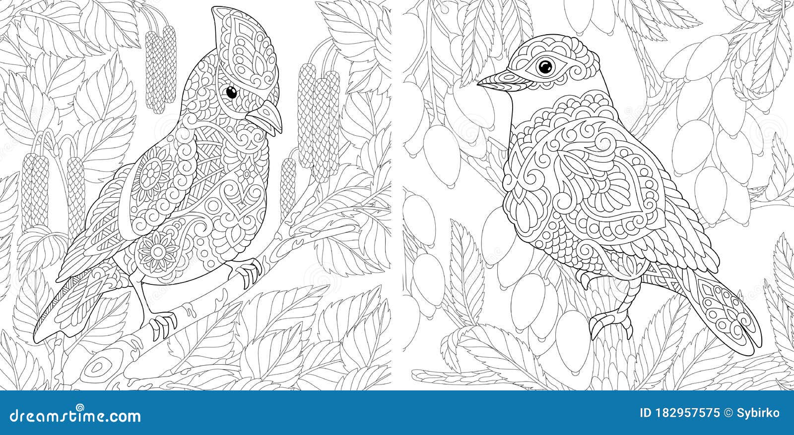 Coloring Pages with Birds in the Forest Stock Vector ...