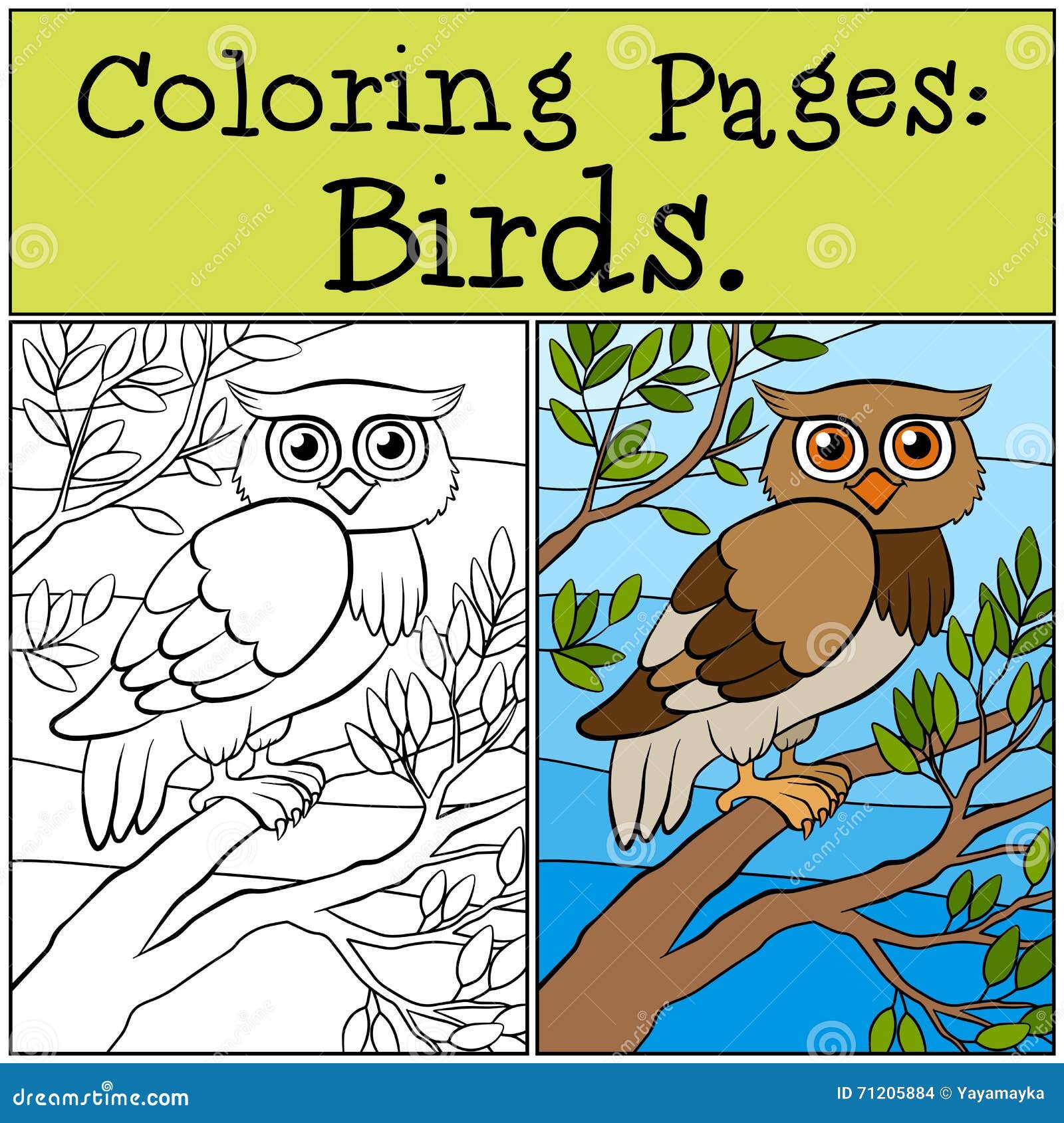 coloring pages: birds. little cute owl.