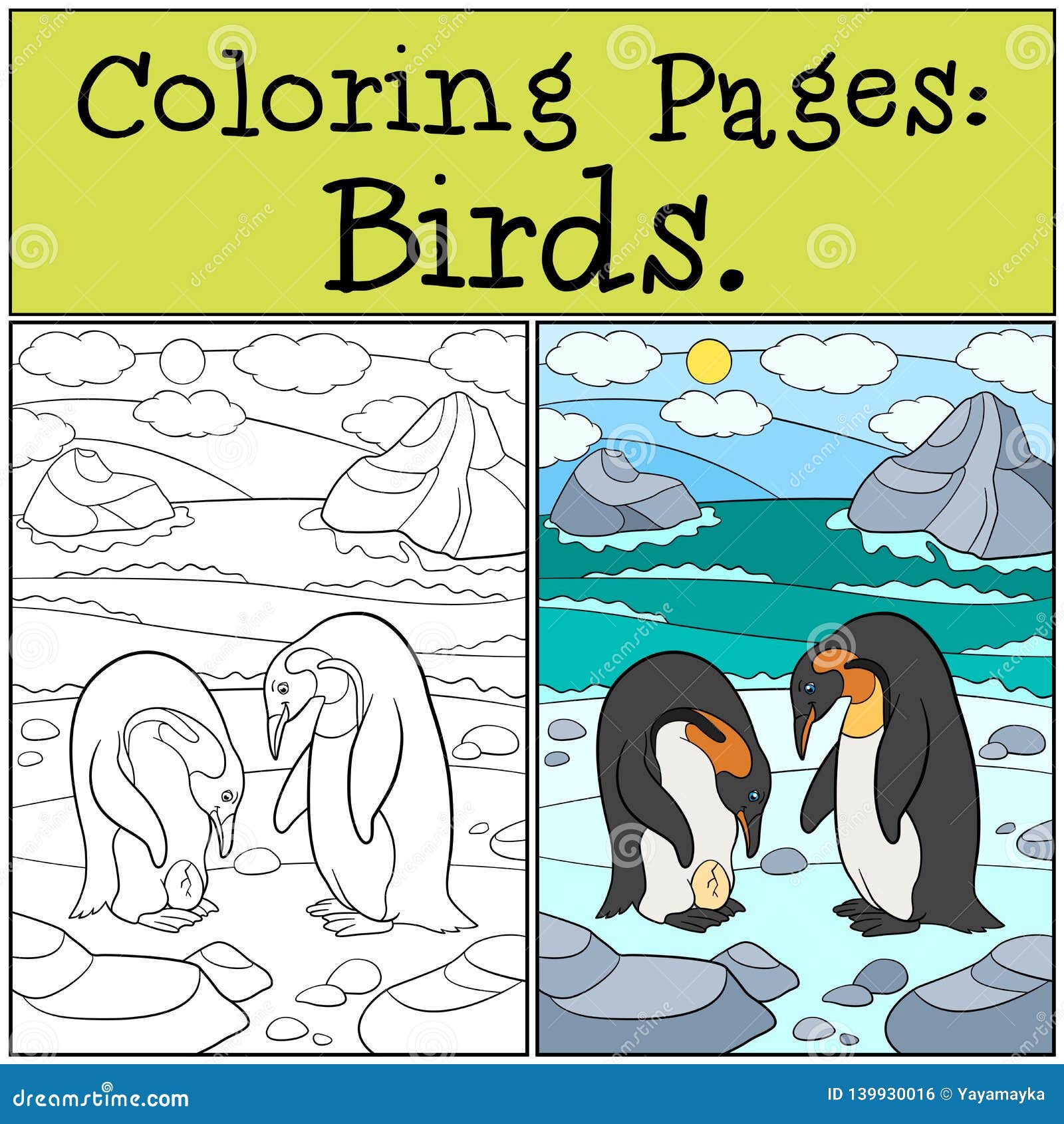 Coloring Pages: Birds. Two Cute Penguins Look at the Egg Stock Vector ...