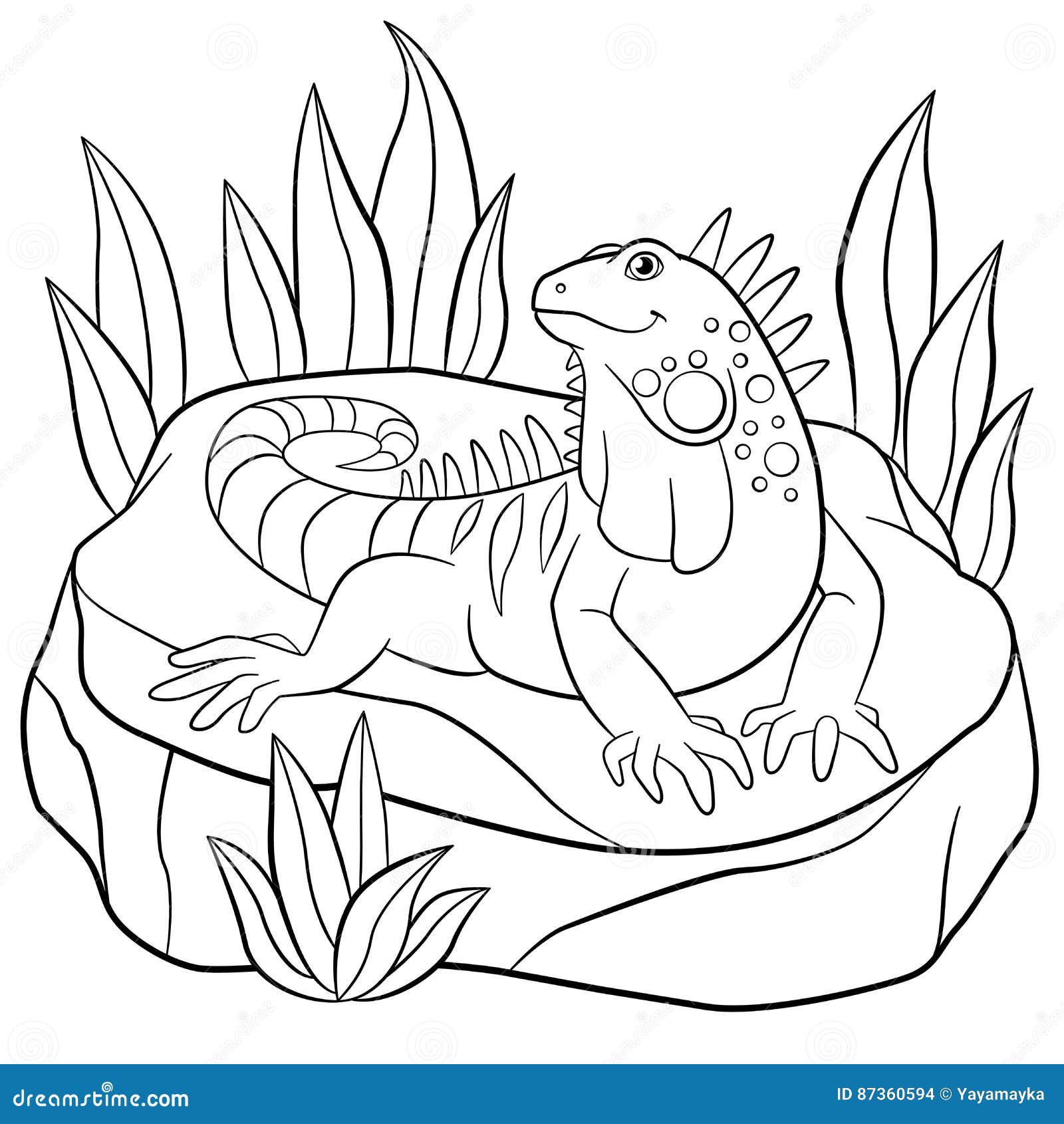 87 Top Coloring Pages Animals Iguana For Free