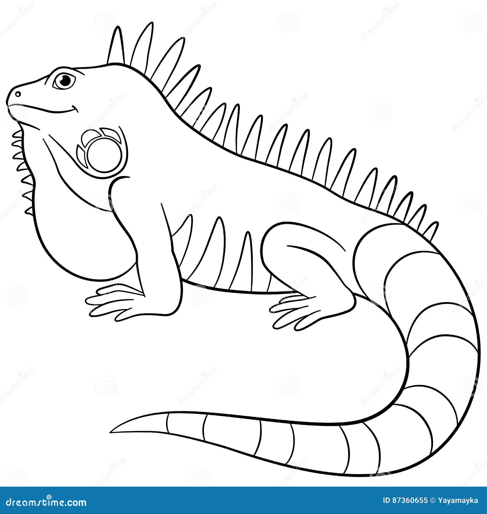 57 Iguana Animal Coloring Pages  Free