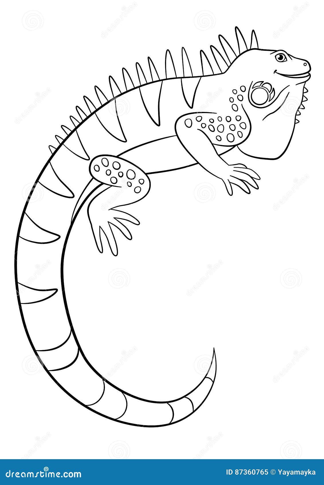 Coloring Pages. Cute Iguana Smiles. Cartoon Vector | CartoonDealer.com #87360765