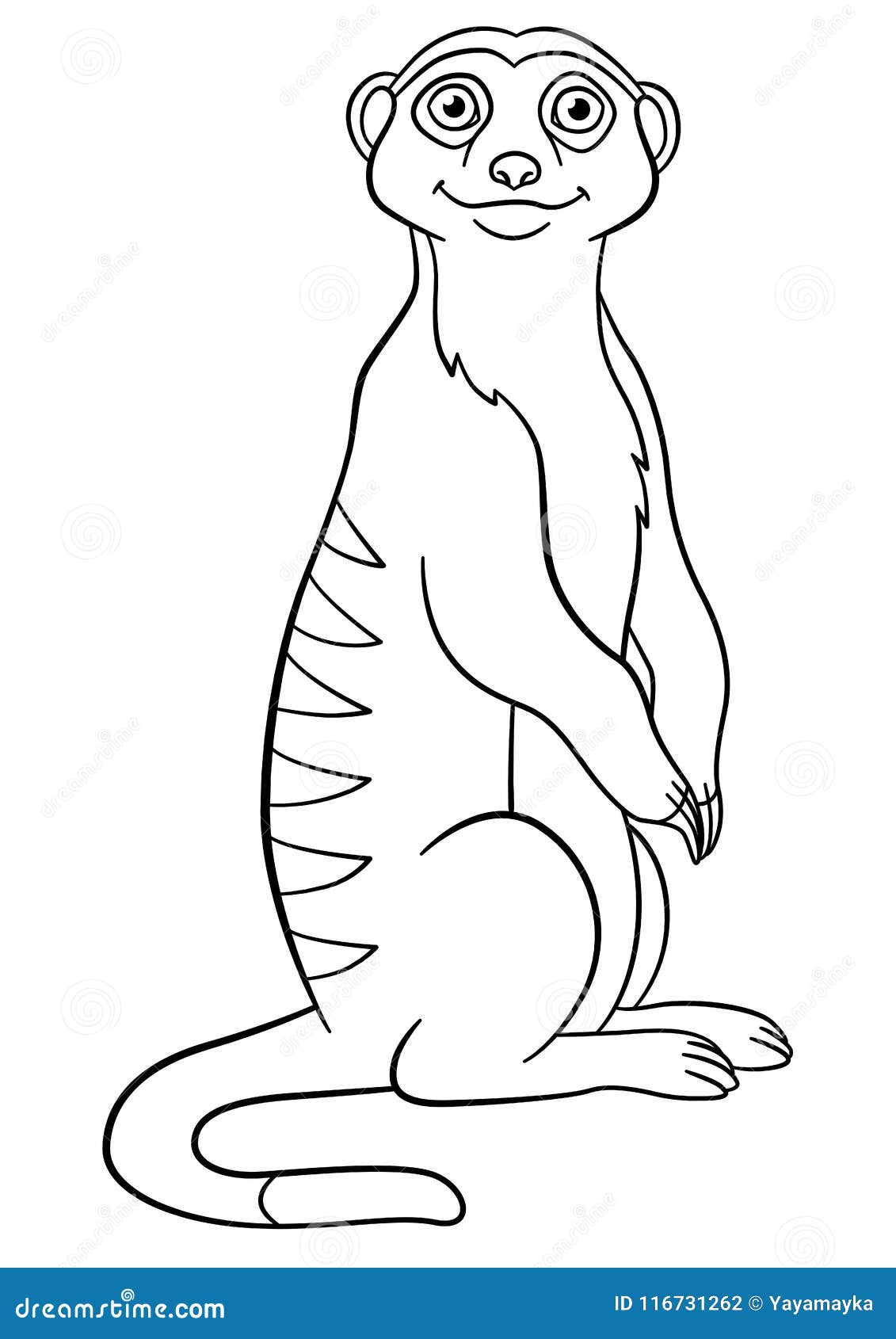 Coloring Pages. Little Cute Meerkat Smiles. Stock Vector - Illustration