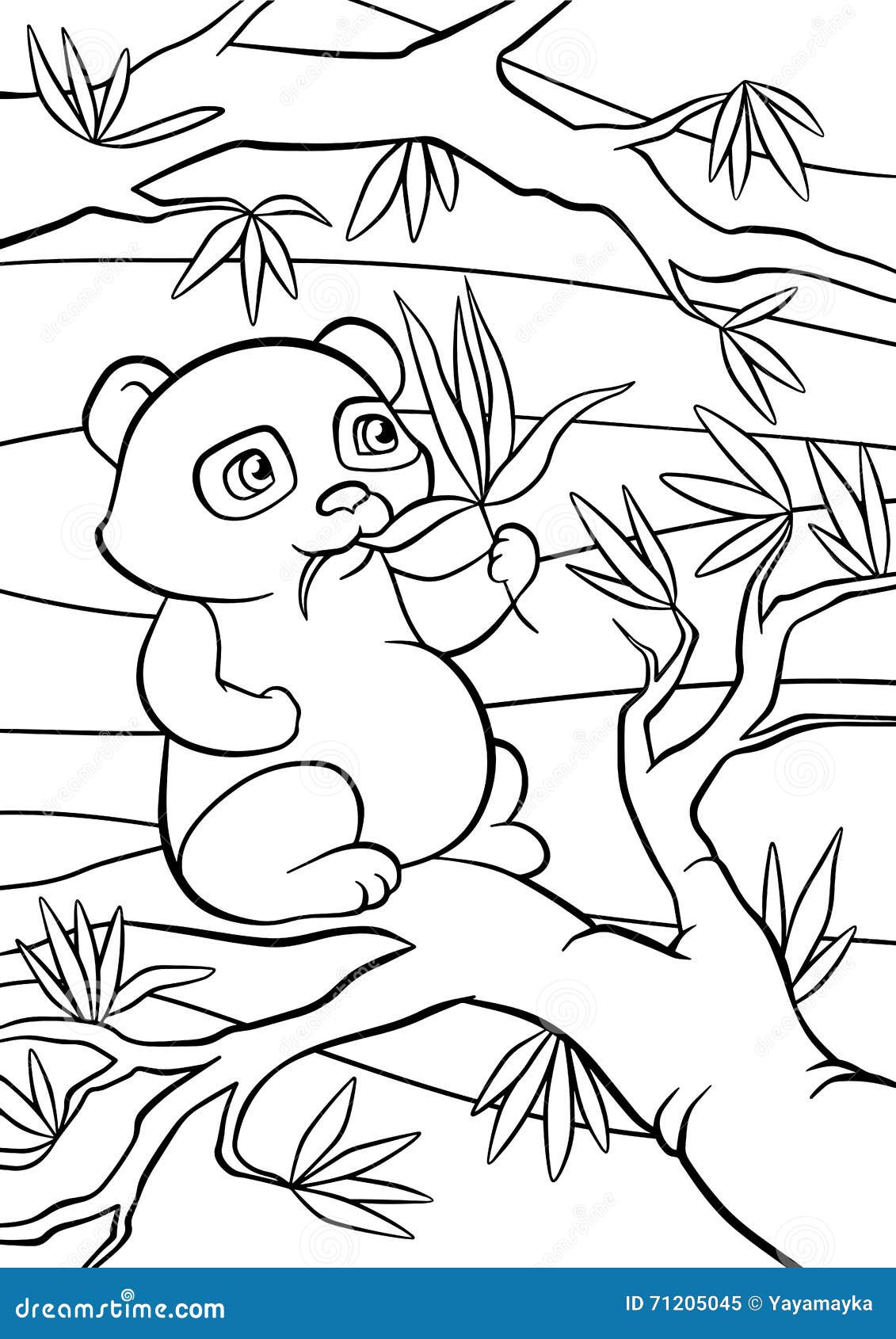 Panda na China - Pandas - Coloring Pages for Adults