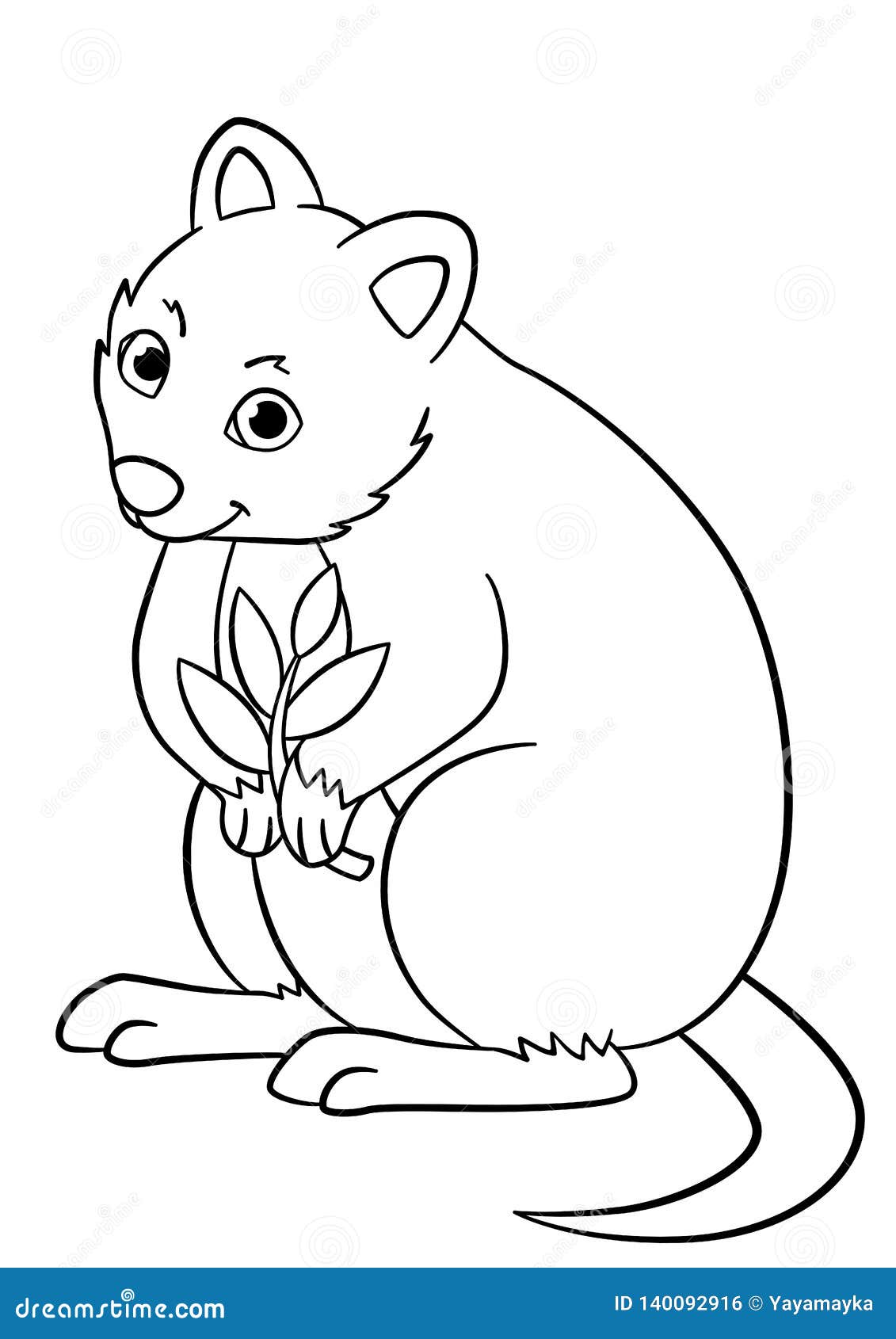 Quokka Coloring Book: Easy Quokka Coloring Books For Kids And Adults  Relaxing